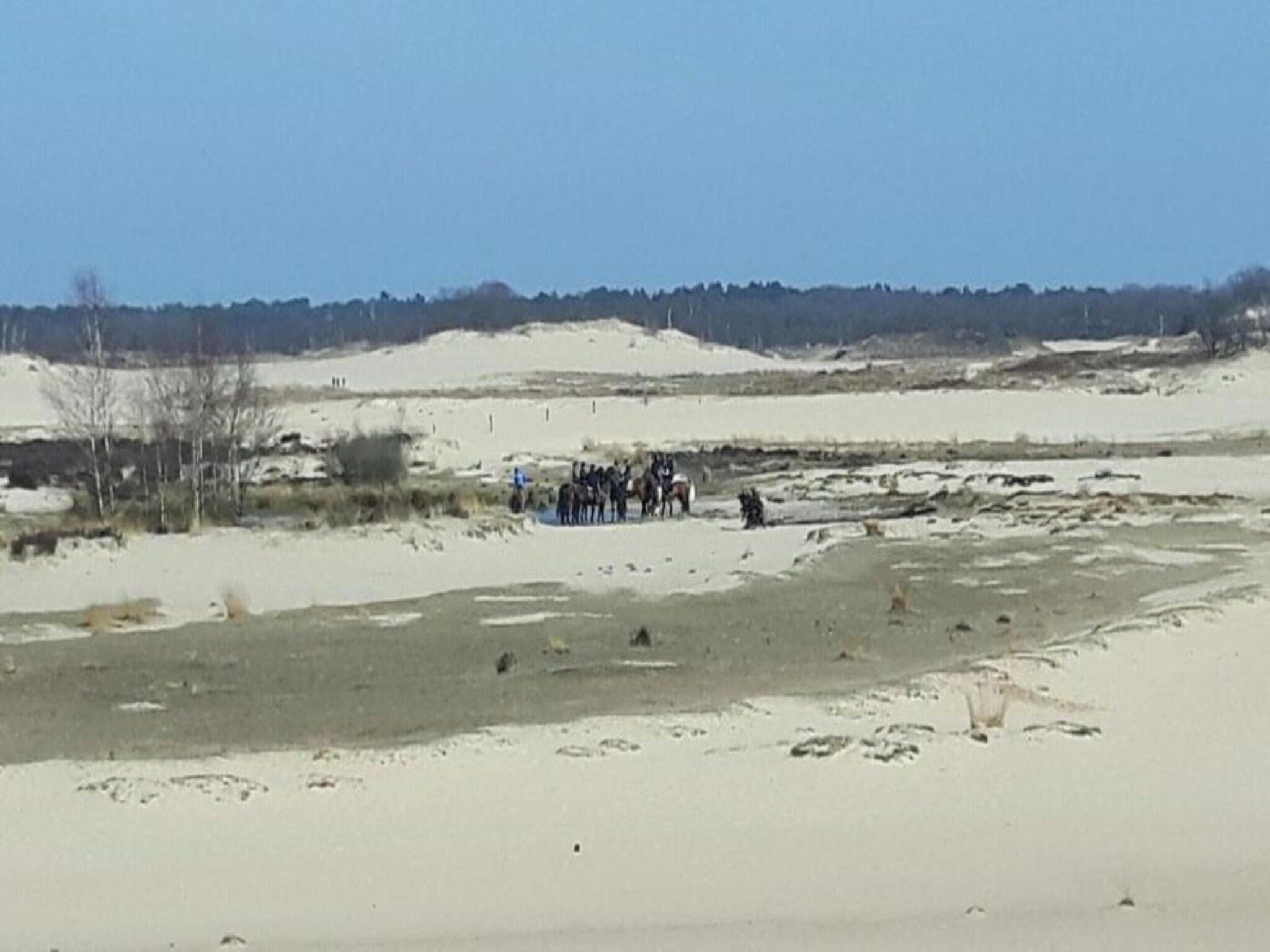 Recreatiepark Duinhoeve 12 in Udenhout - Foto 25 van 40