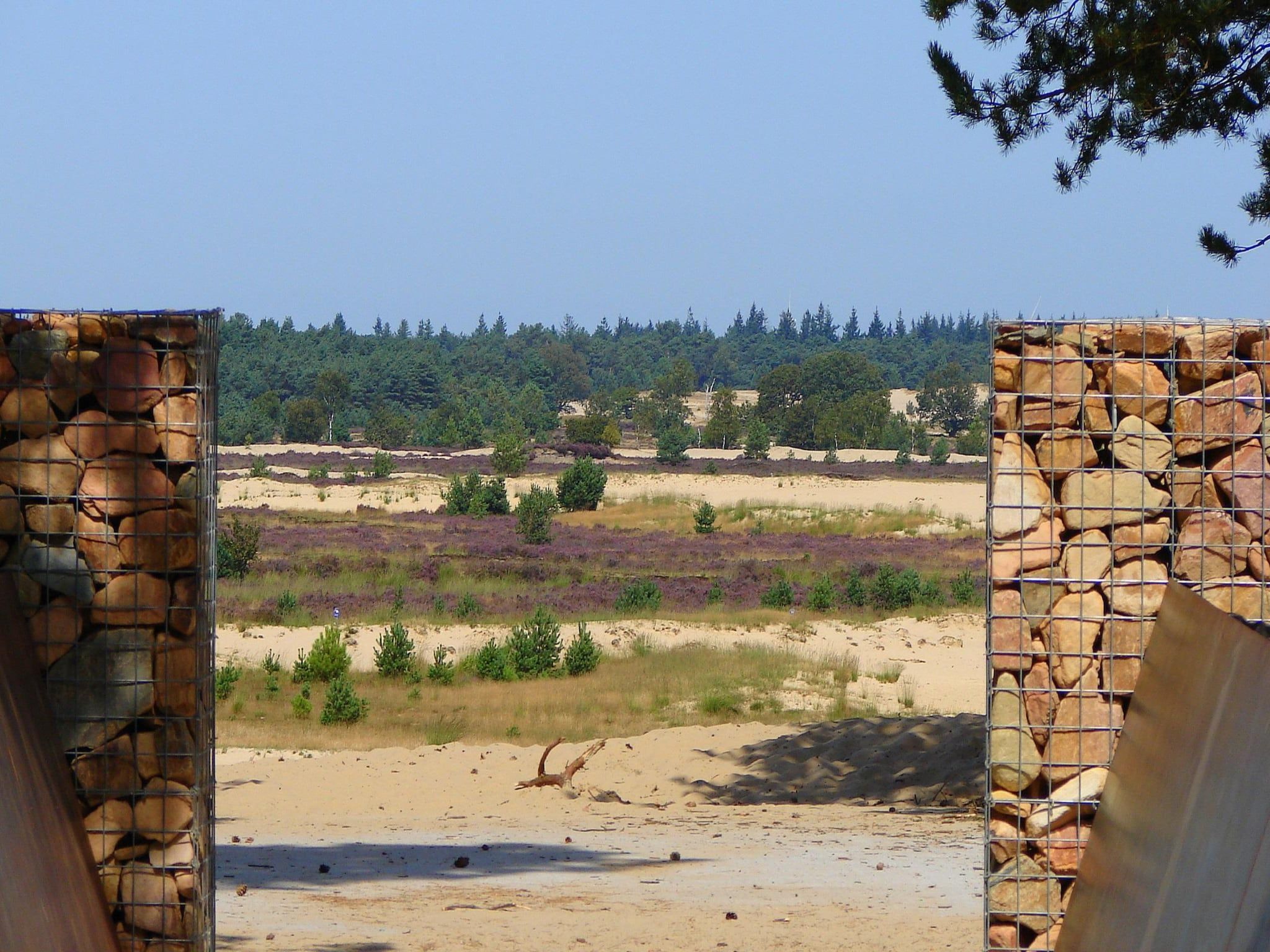 De omgeving van Recreatiepark Duinhoeve 13 in Udenhout