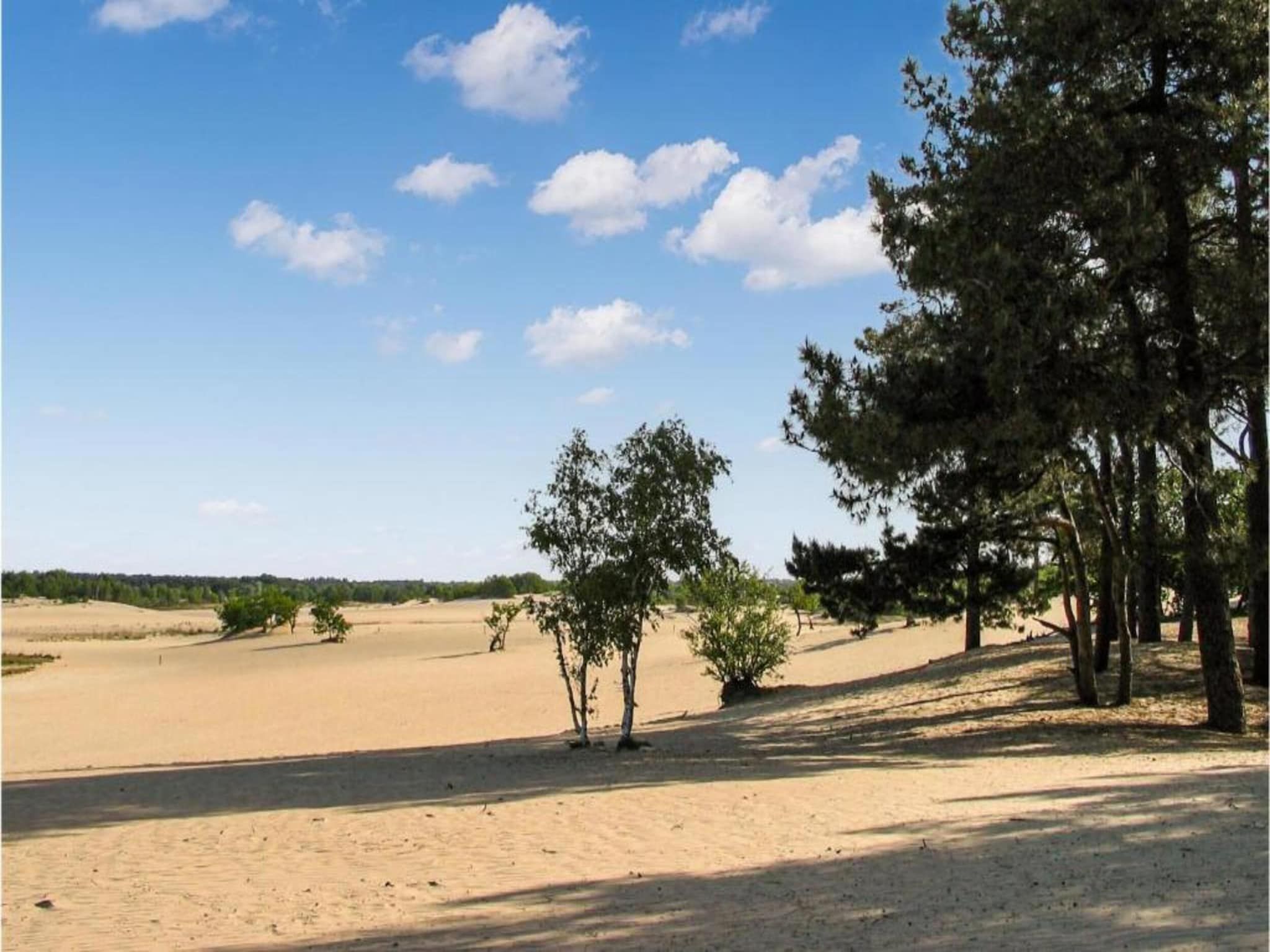 Recreatiepark Duinhoeve 13 in Udenhout - Foto 23 van 40