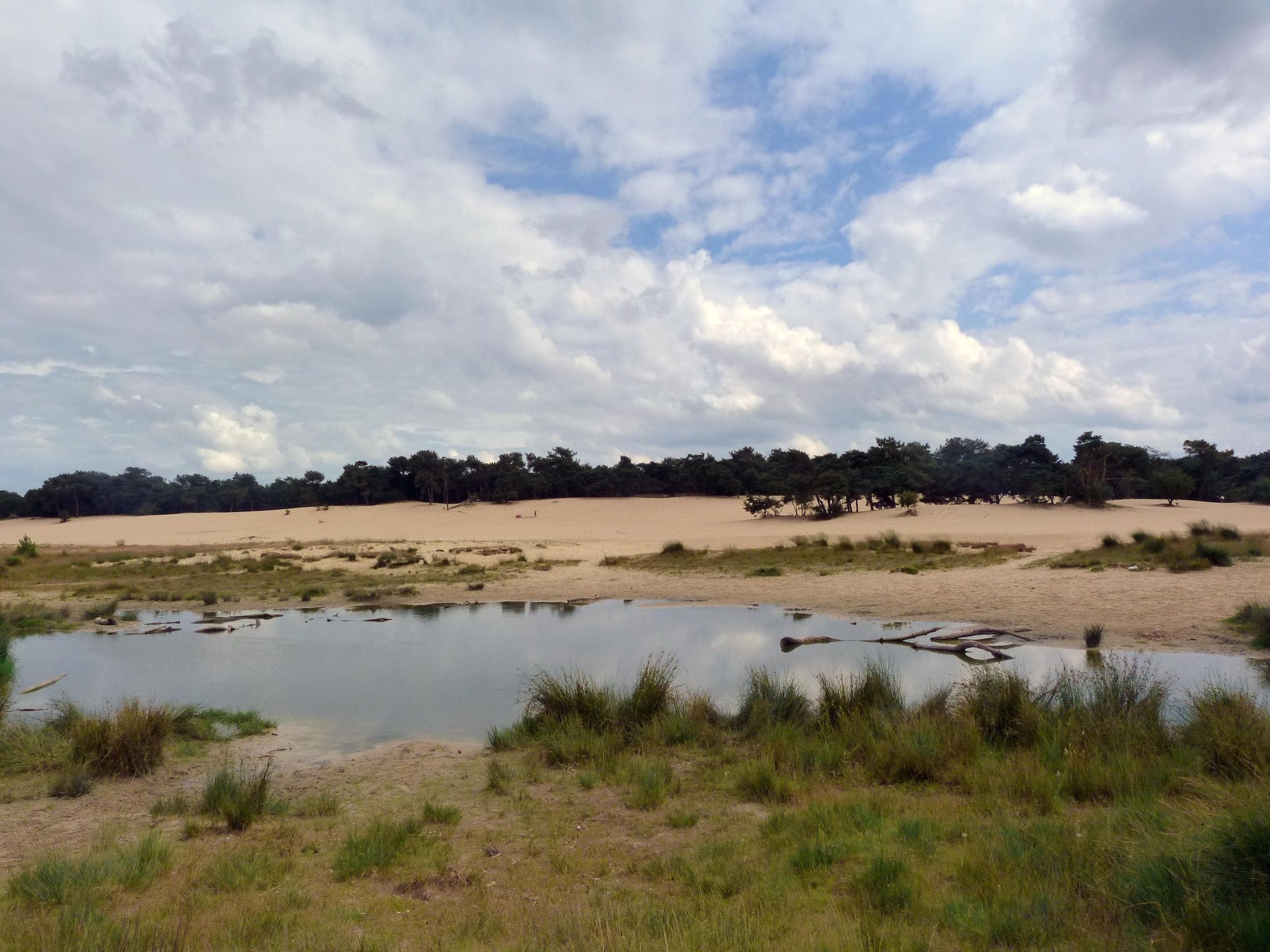 De omgeving van Recreatiepark Duinhoeve 14 in Udenhout