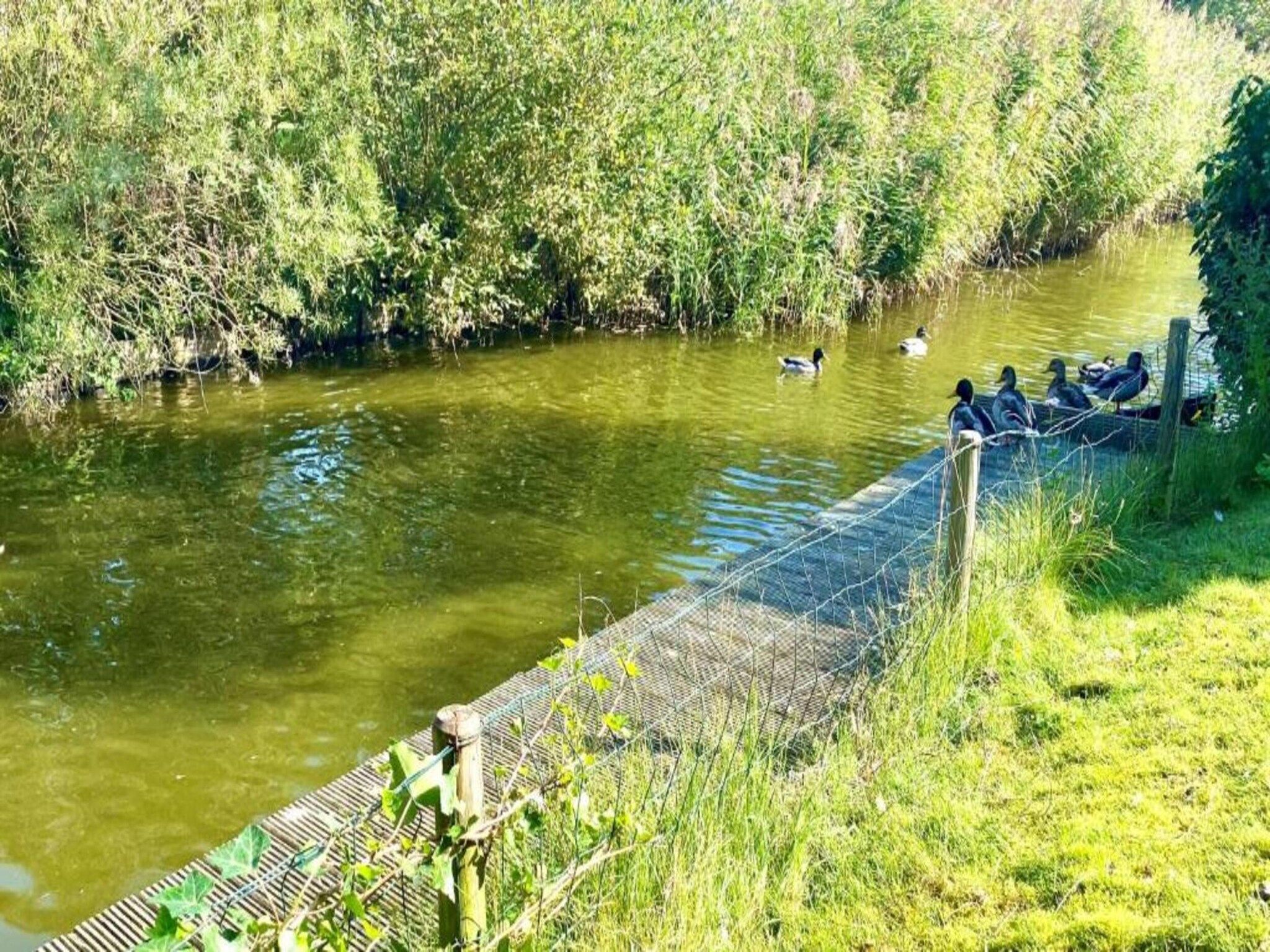 De omgeving van Vakantiepark Zeebad 4 in Breskens