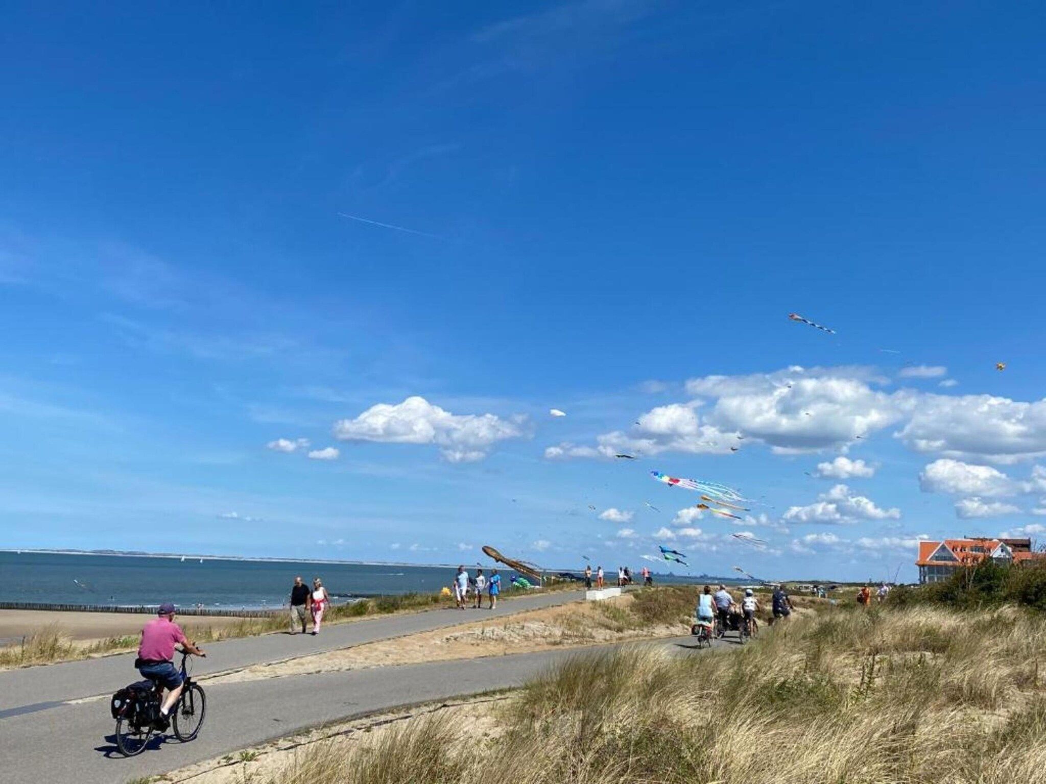 De omgeving van Vakantiepark Zeebad 4 in Breskens