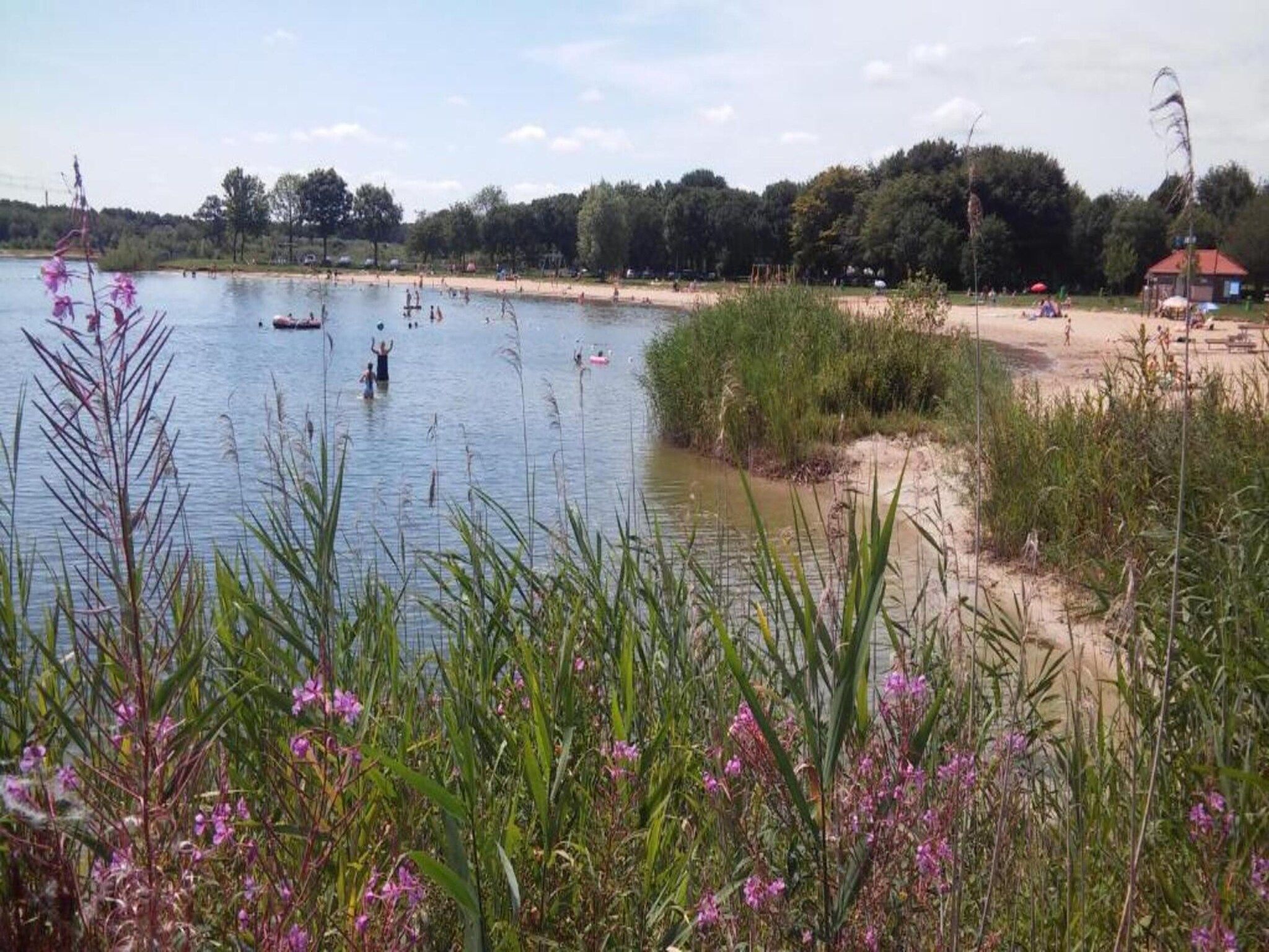 Landgoed De IJsvogel 6 in Voorthuizen - Foto 28 van 40