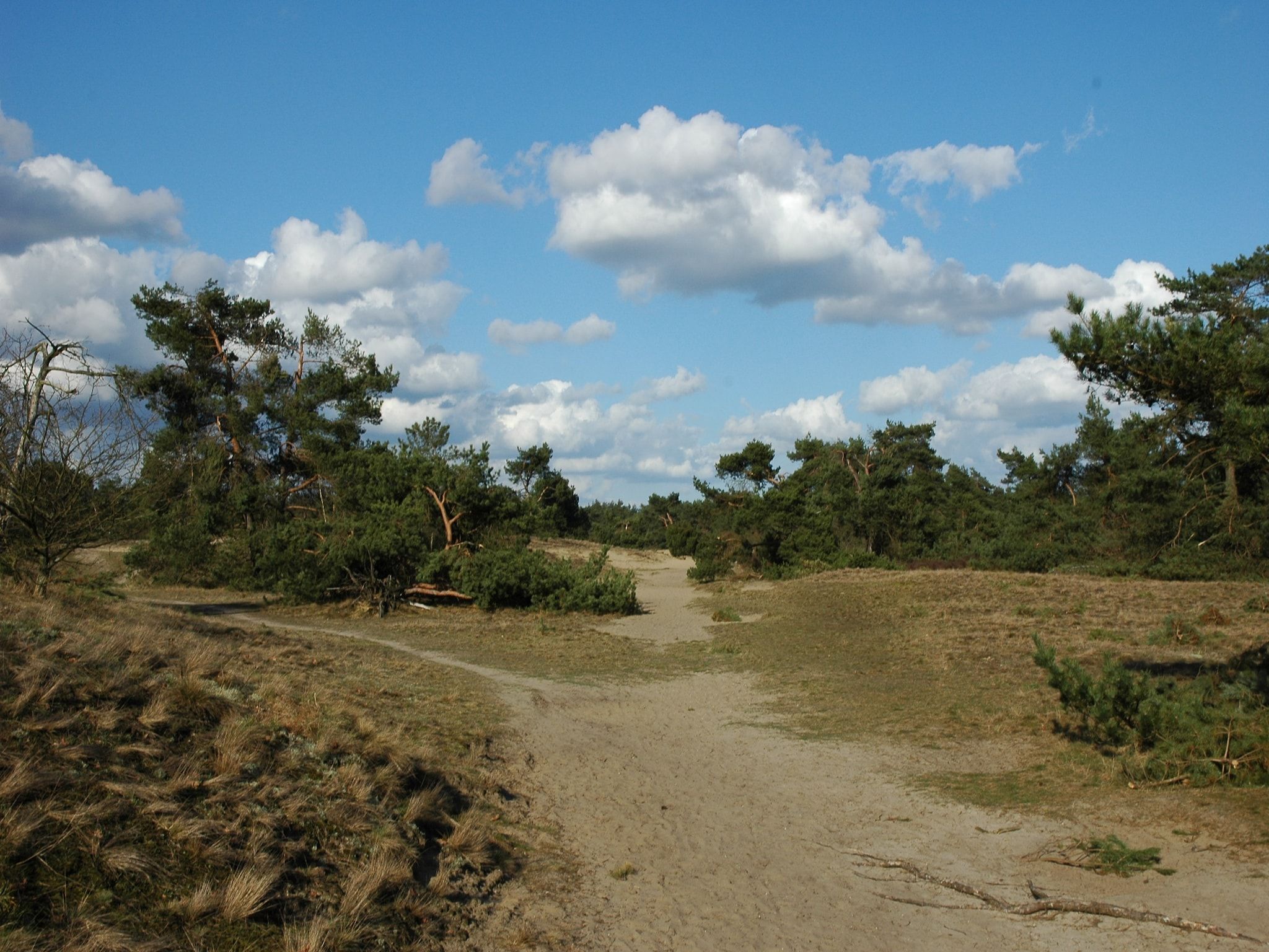 Landgoed De IJsvogel 7 in Voorthuizen - Foto 34 van 40