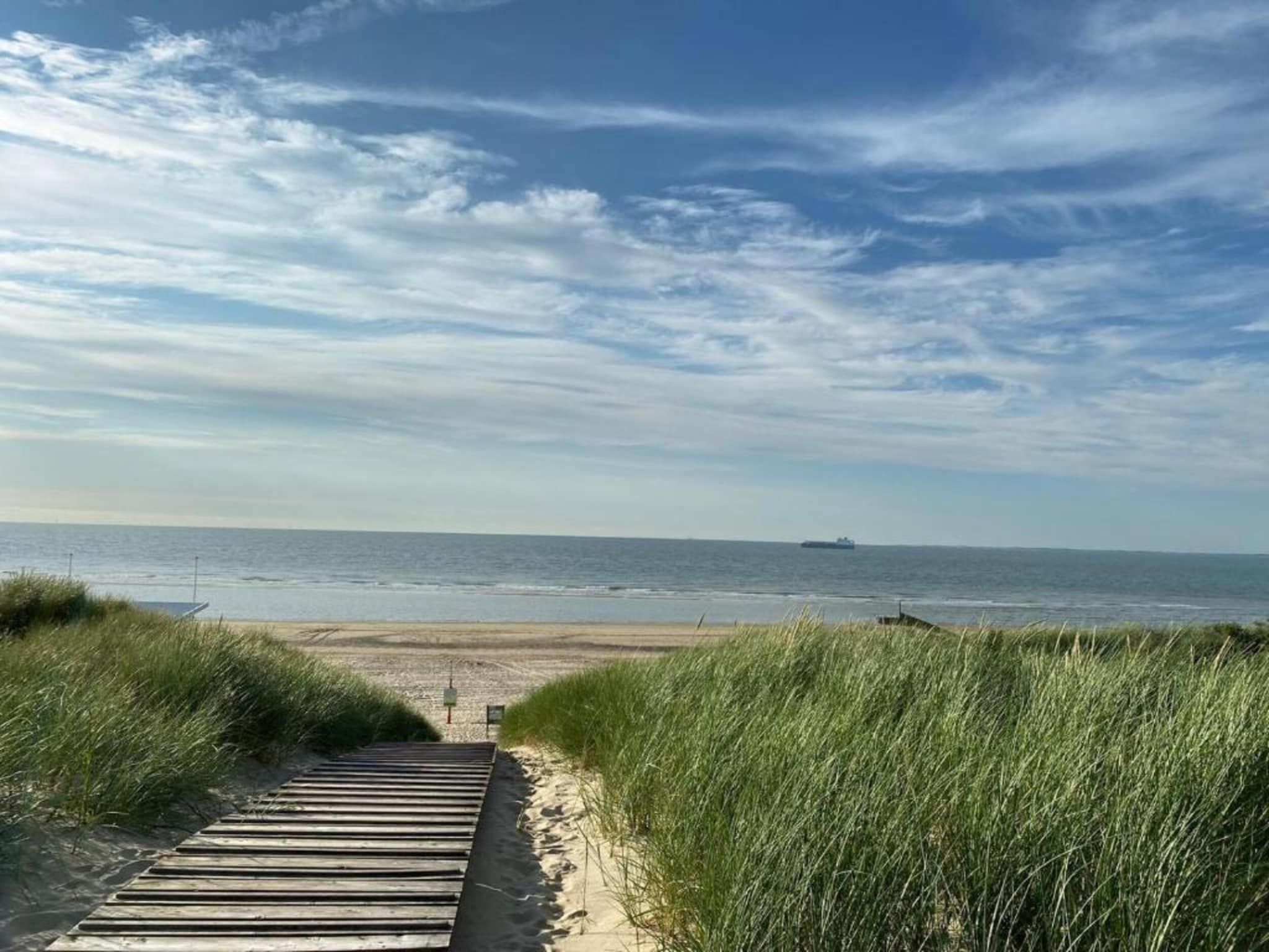 Beach Resort Nieuwvliet-Bad 4 in Nieuwvliet-Bad - Foto 36 van 40