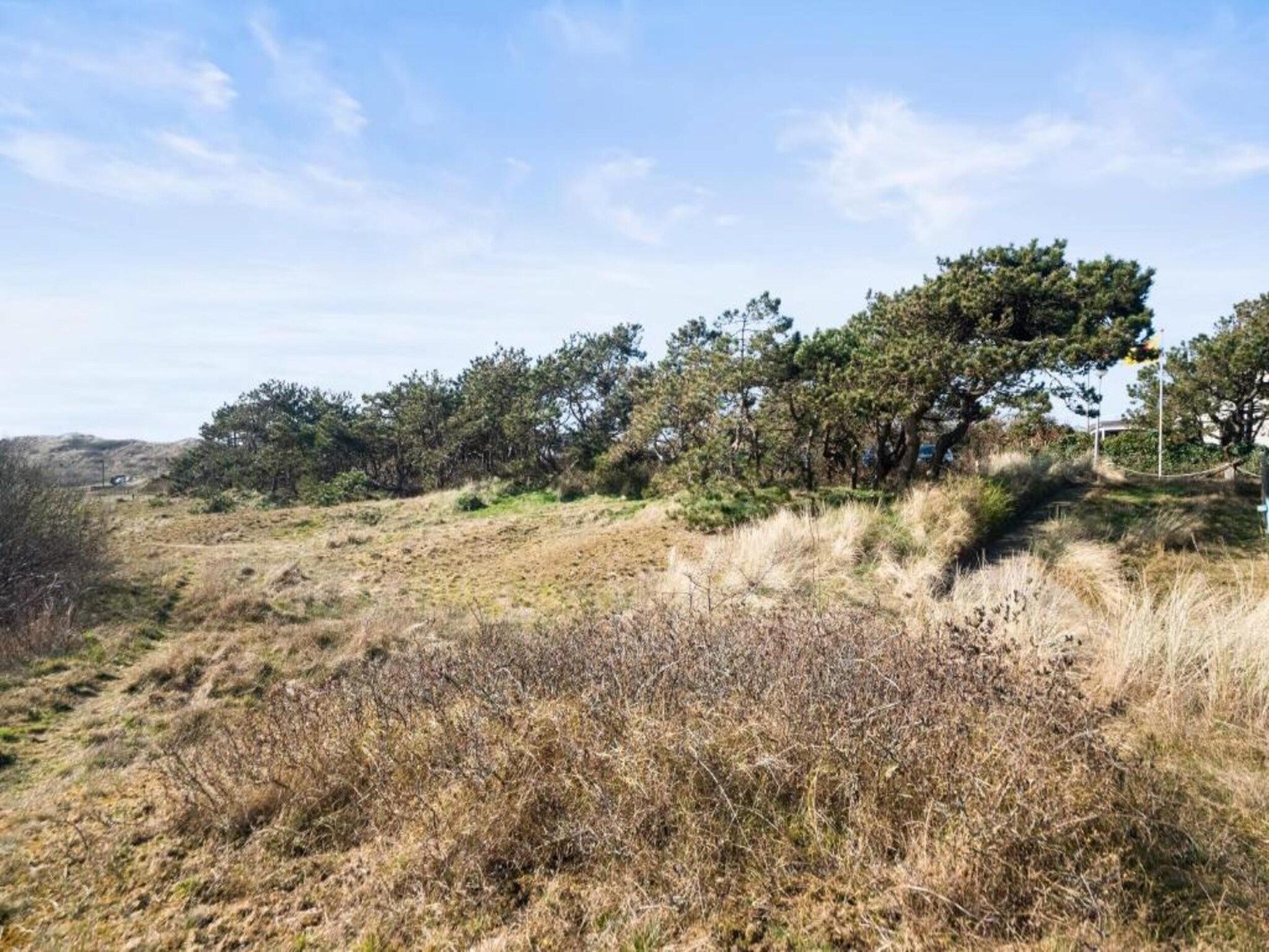 Vakantiepark Callassande 2 in Callantsoog - Foto 33 van 40