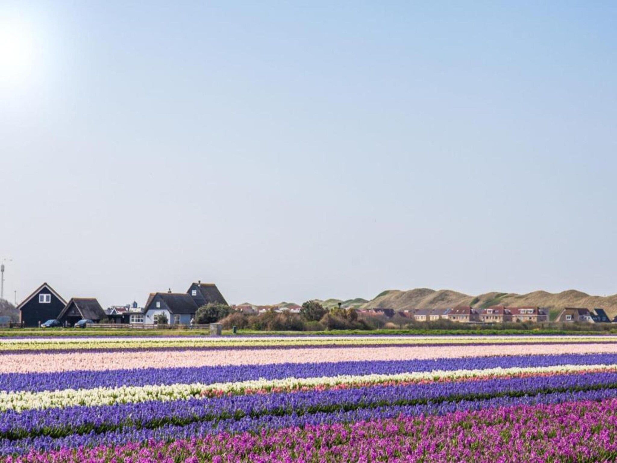 Vakantiepark Callassande 2 in Callantsoog - Foto 36 van 40