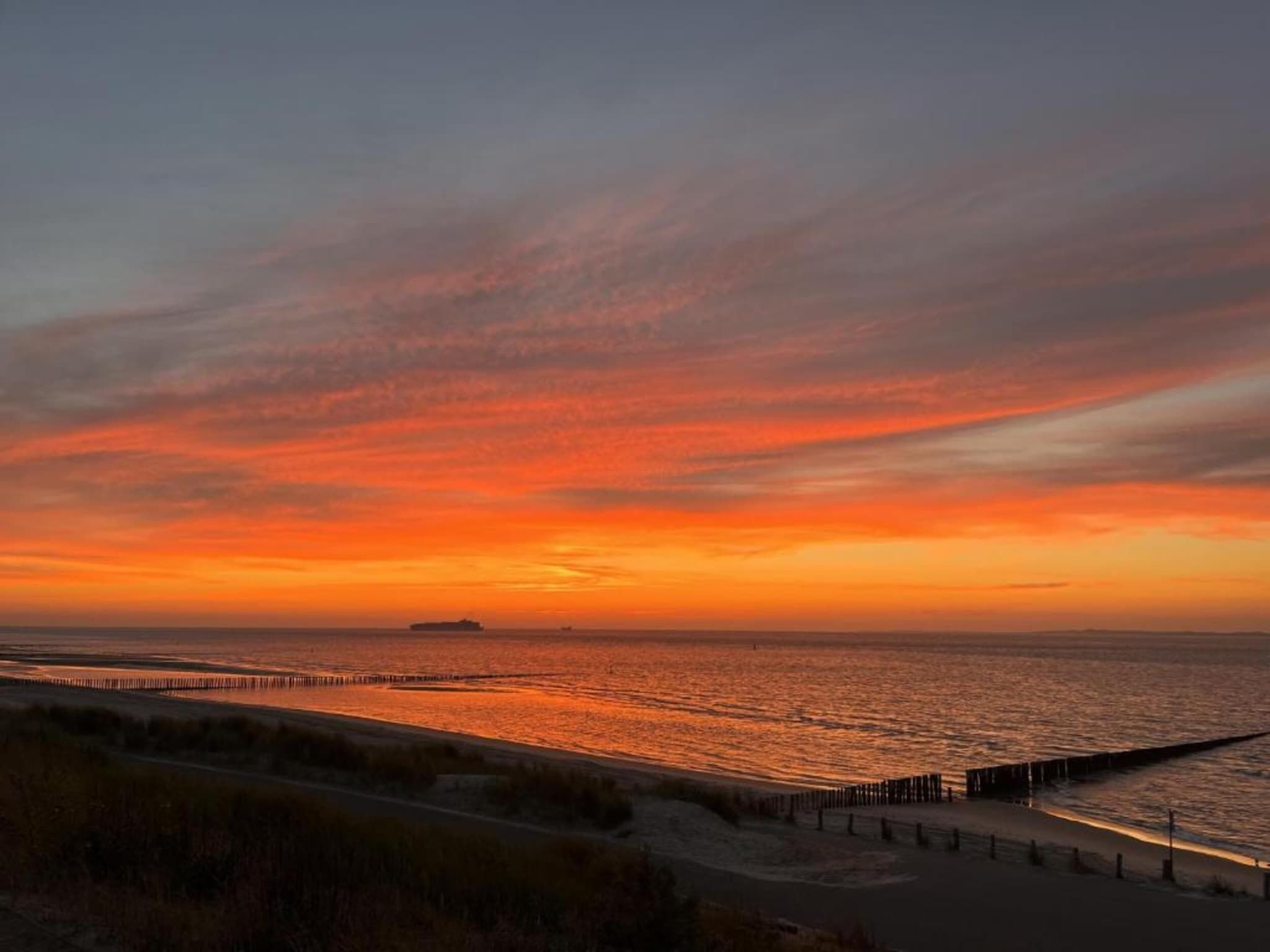 De omgeving van Vakantiepark Zeebad 8 in Breskens