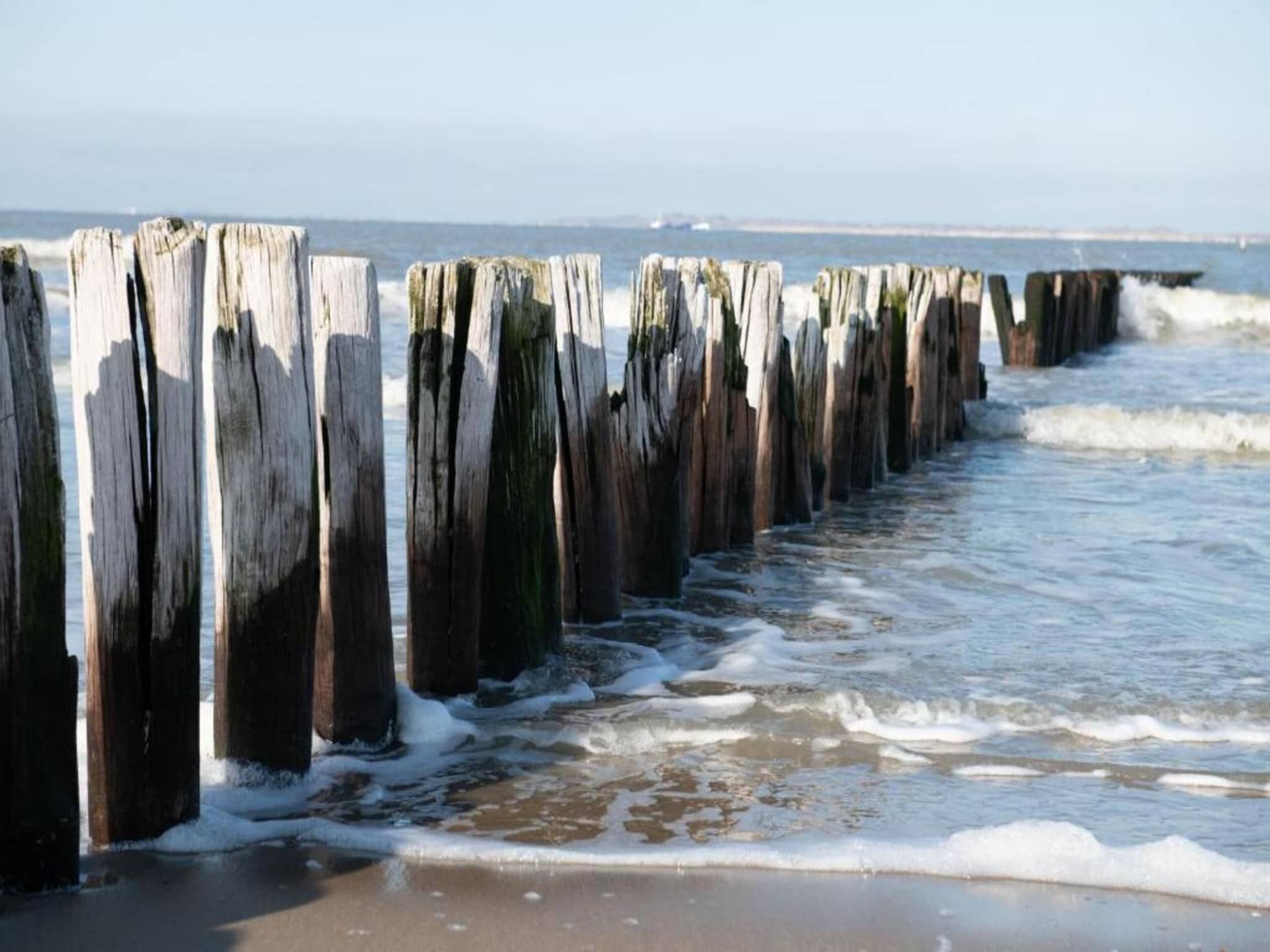 De omgeving van Vakantiepark Zeebad 8 in Breskens
