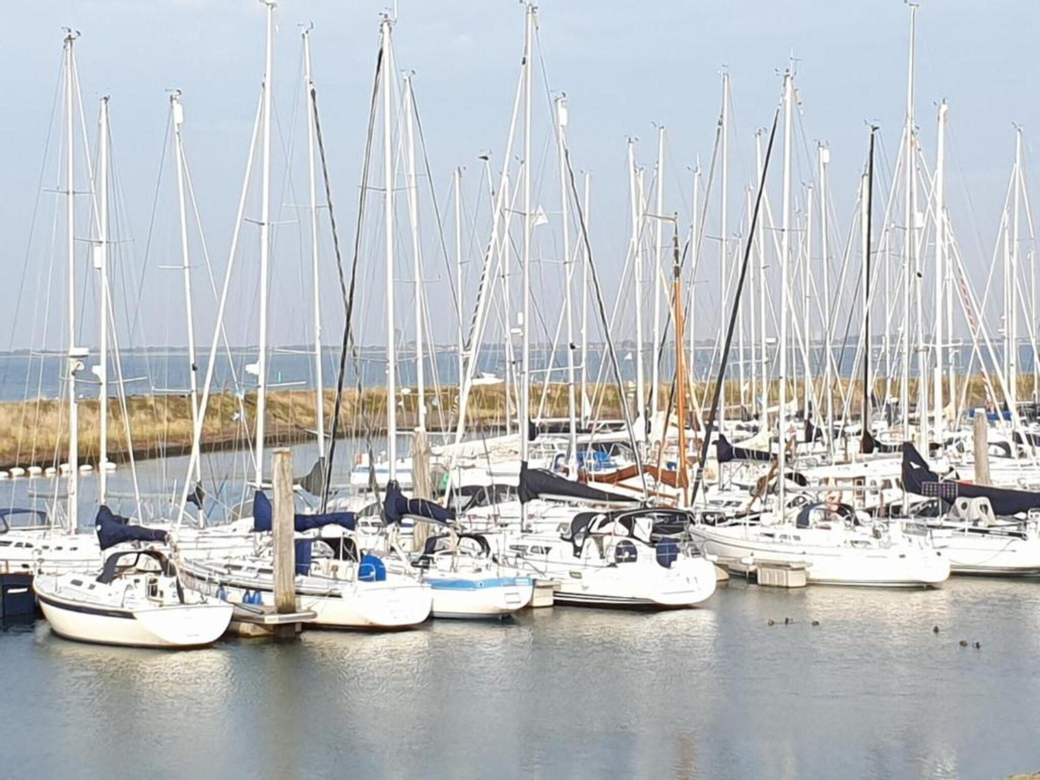 Noordzee Résidence De Banjaard 15 in Kamperland - Foto 34 van 40