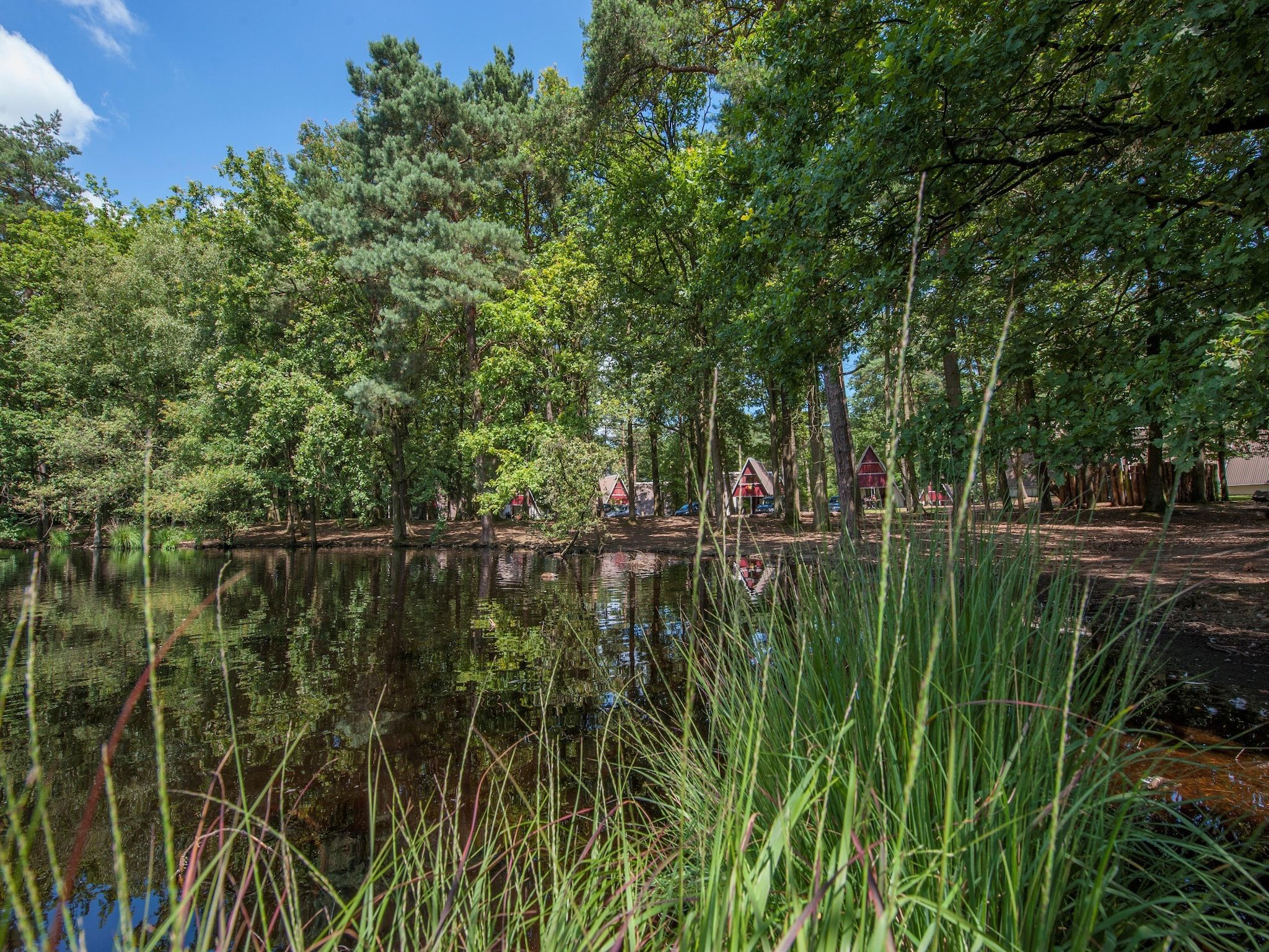 Parkfaciliteiten bij Bospark 't Wolfsven 7 in Mierlo