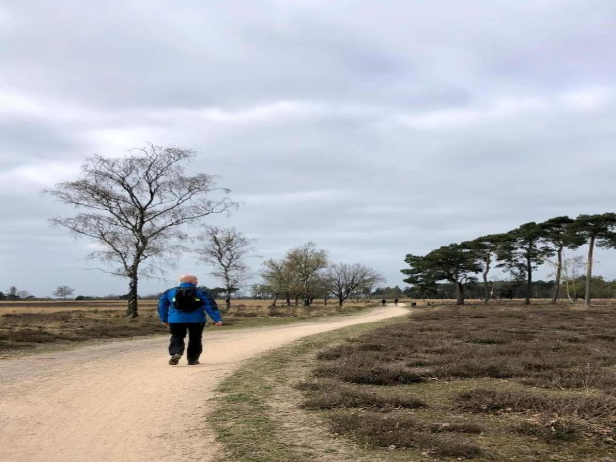 De omgeving van Bospark 't Wolfsven 8 in Mierlo