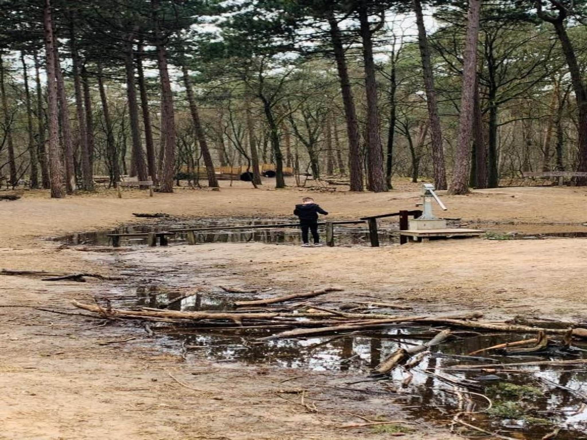 De omgeving van Vakantiepark Schaijk 1 in Schaijk