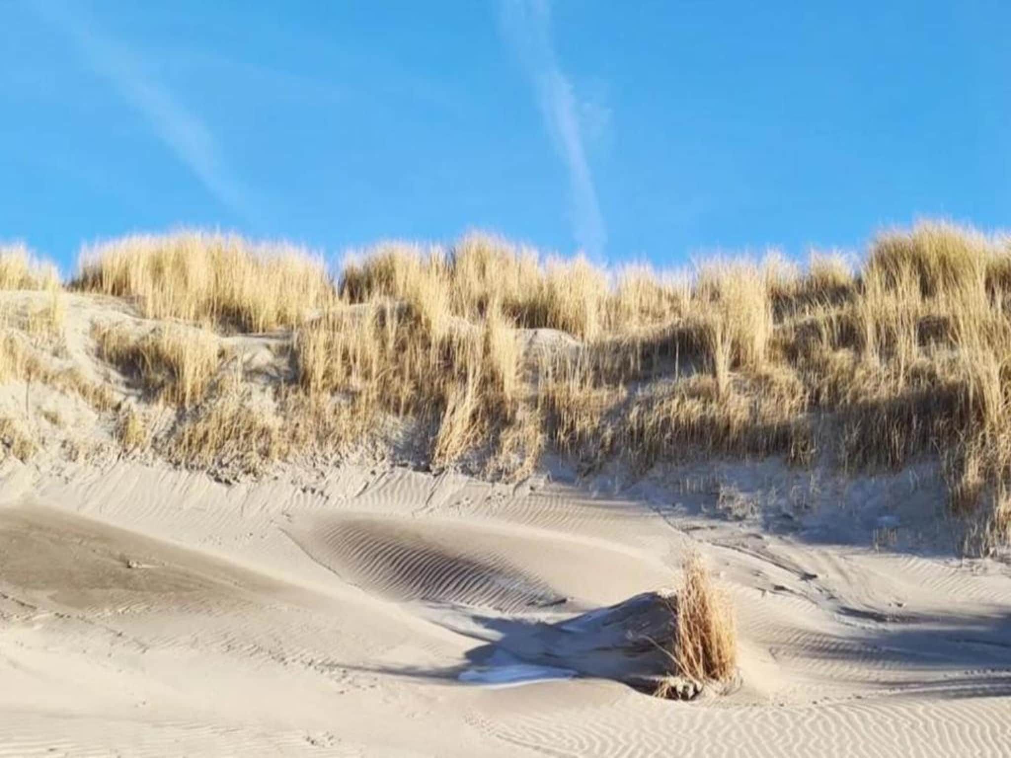 Strandpark Vlugtenburg 7 in 's-Gravenzande - Foto 38 van 39