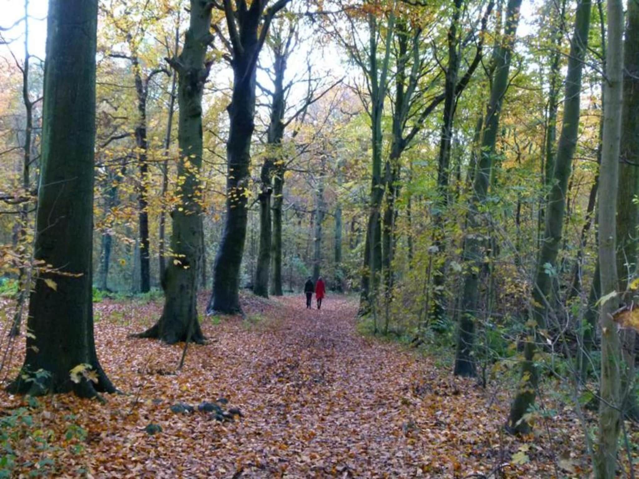Strandpark Vlugtenburg 7 in 's-Gravenzande - Foto 39 van 39