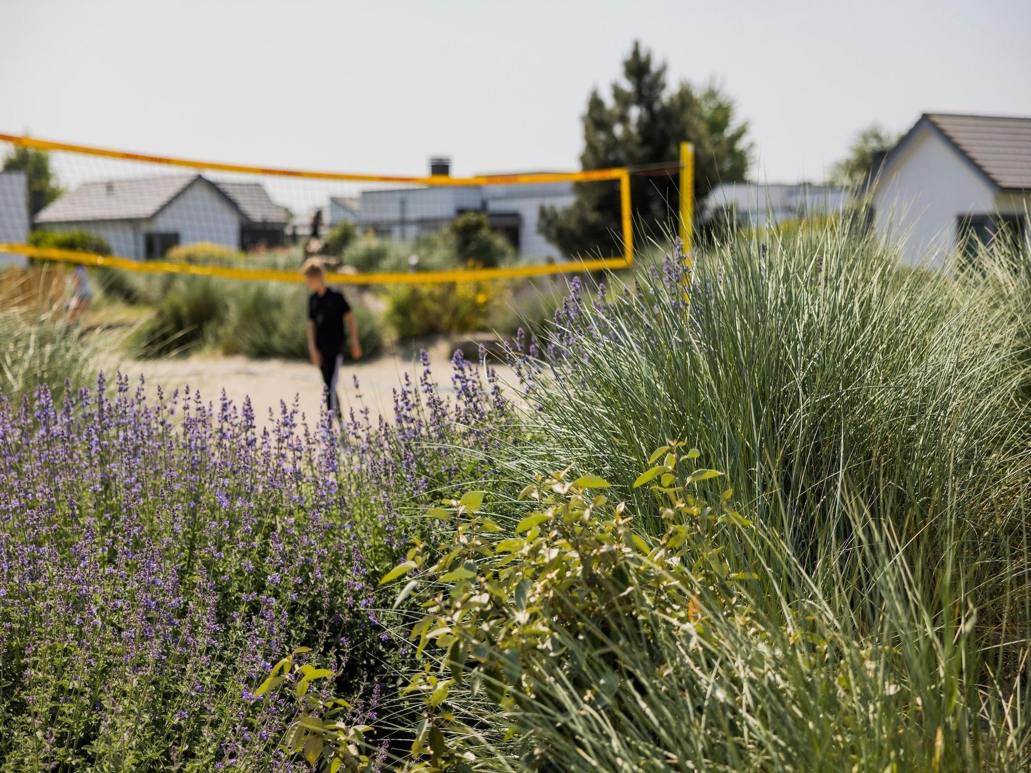 Het uitzicht vanaf Strandpark Duynhille 3 in Ouddorp