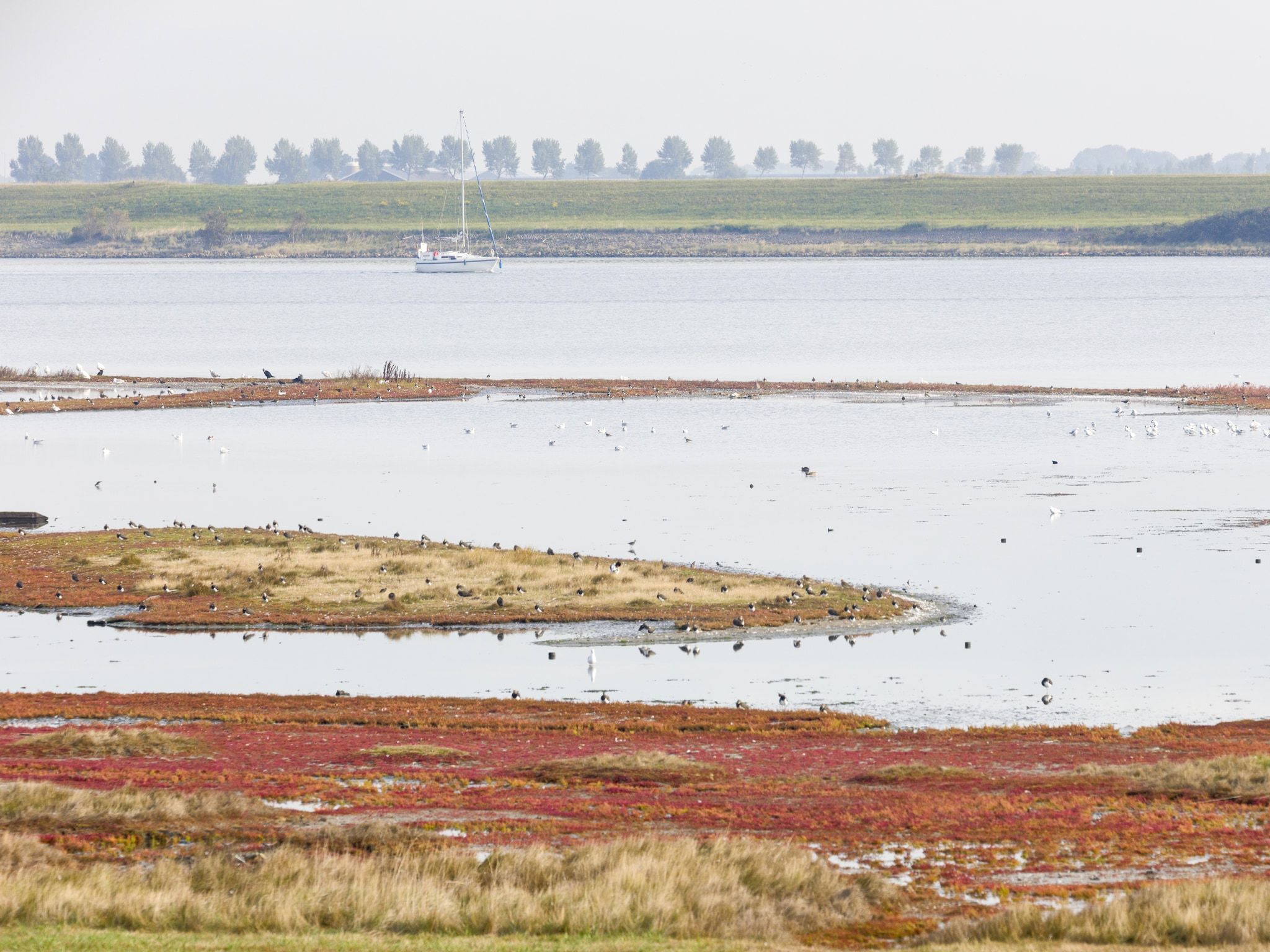 De omgeving van Harbour Village 1 in Arnemuiden