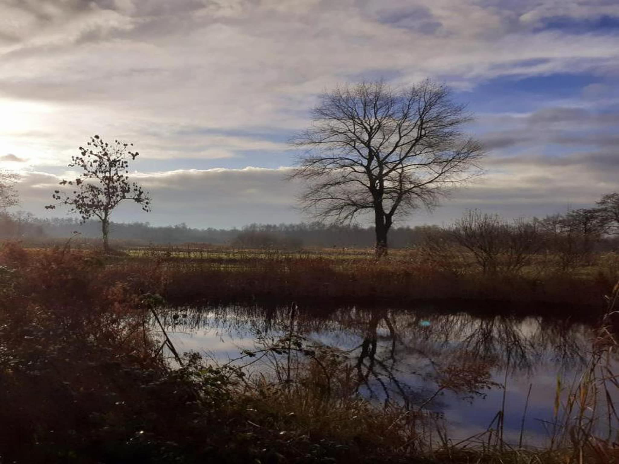 Waterstaete Ossenzijl 2 in Ossenzijl - Foto 23 van 40