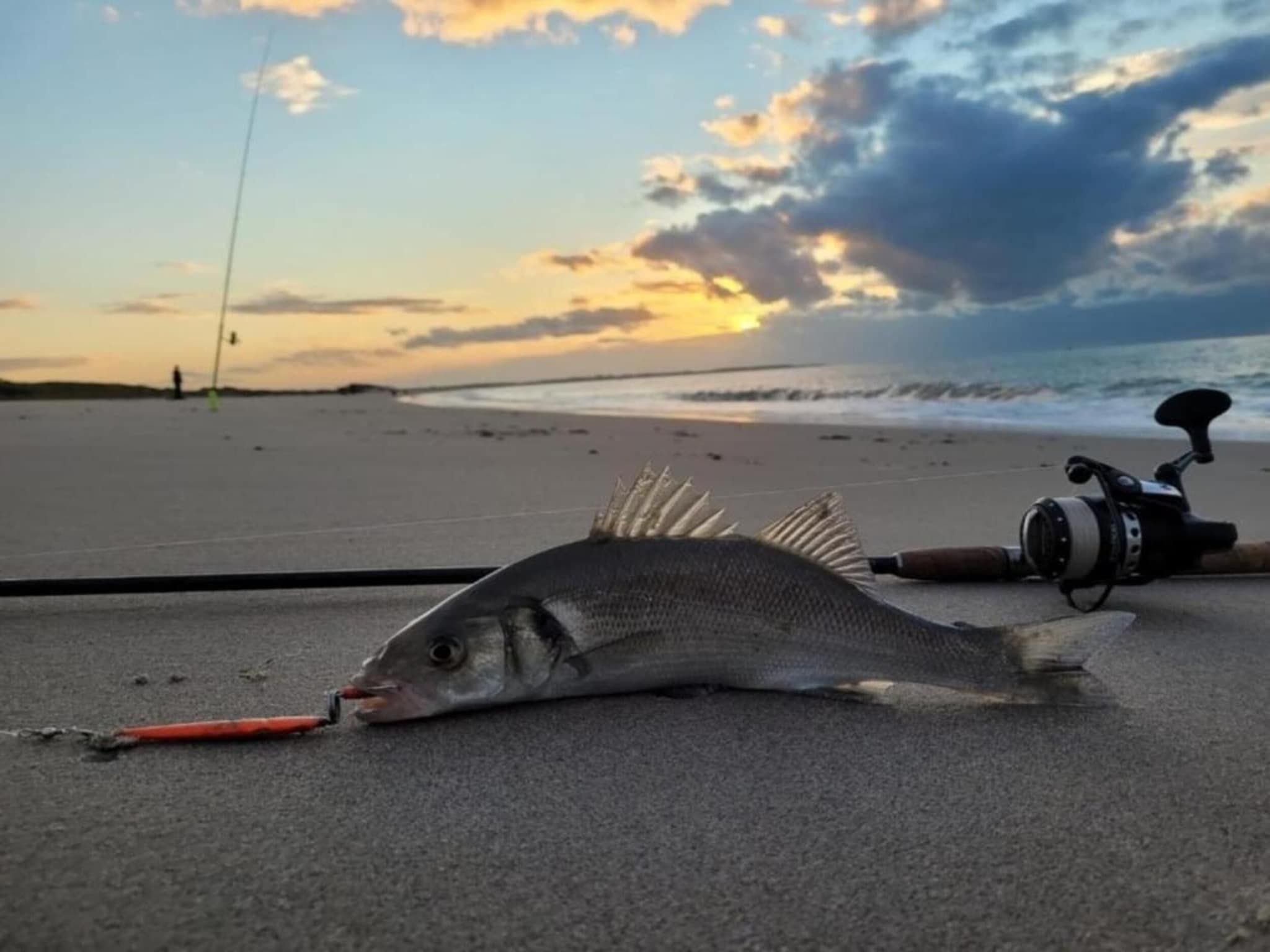 Roompot Beach Resort 21 in Kamperland - Foto 22 van 40