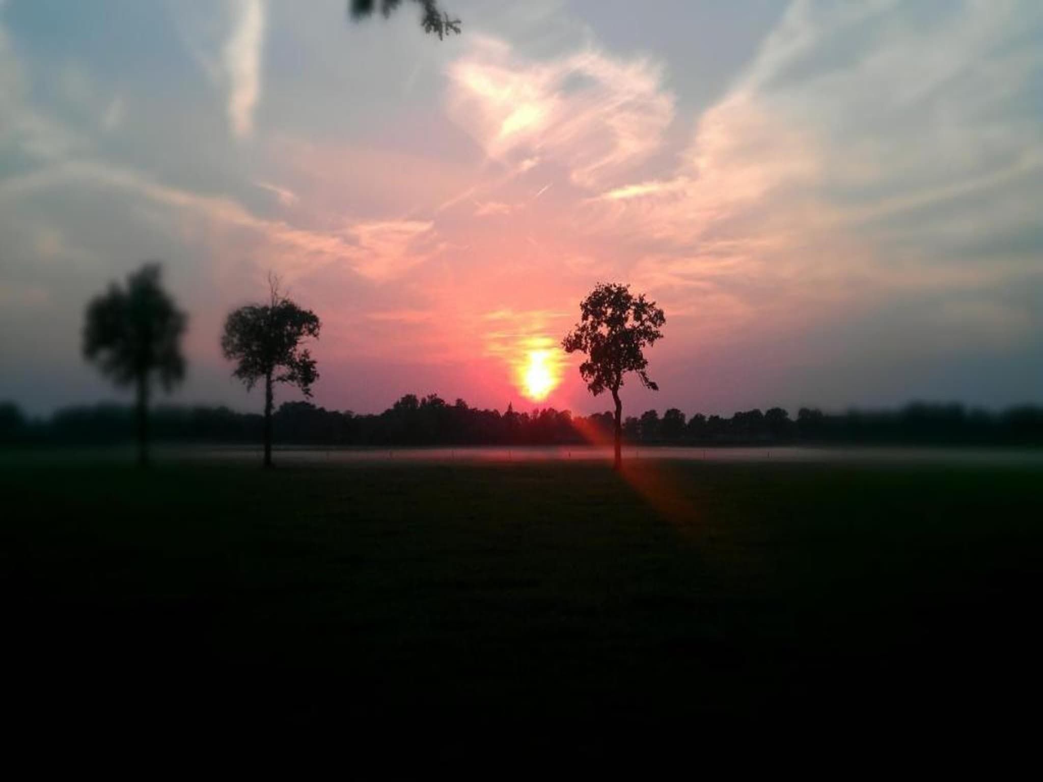 Bospark Markelo 3 in Markelo - Foto 35 van 40