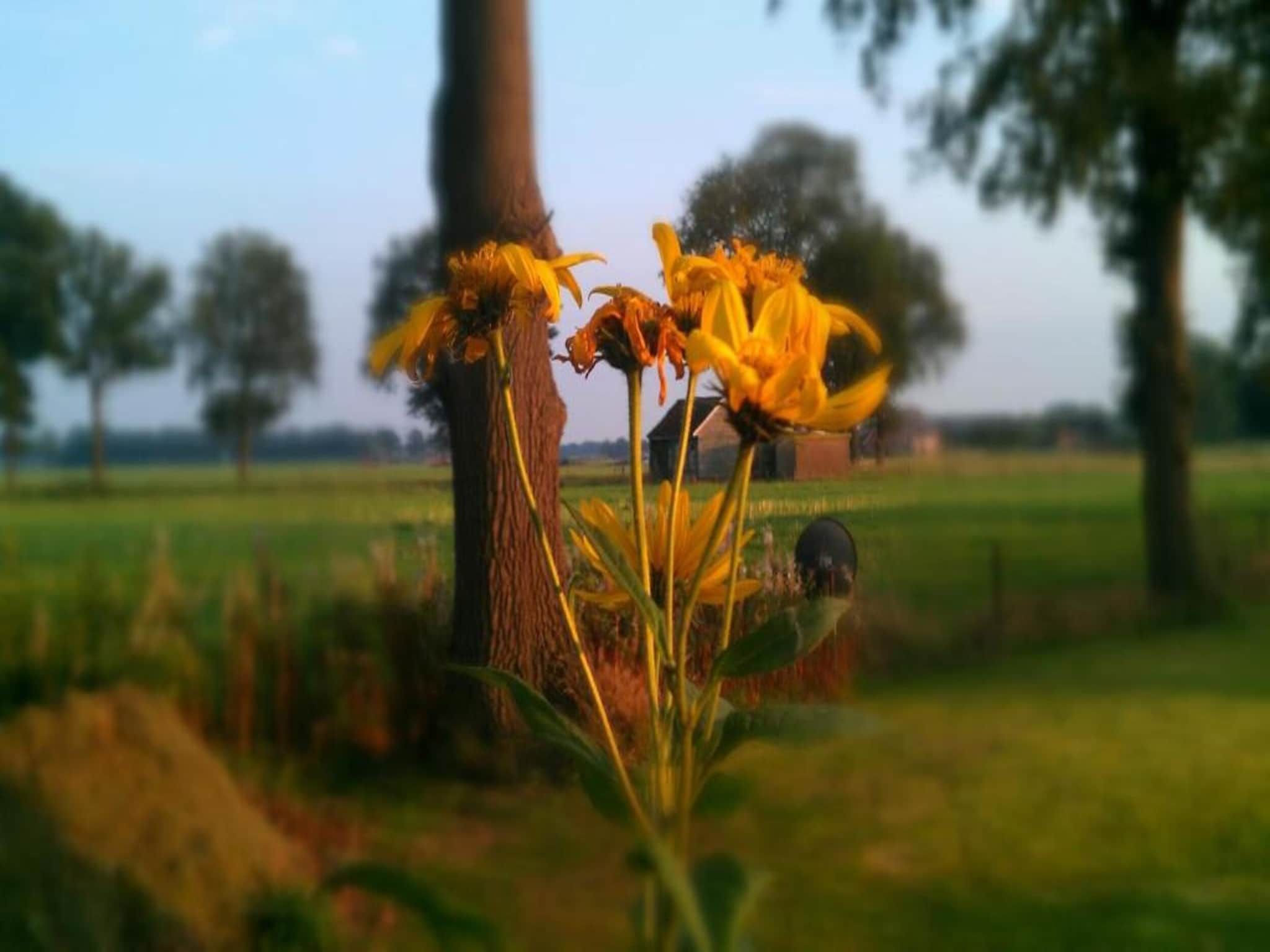 Bospark Markelo 3 in Markelo - Foto 20 van 40