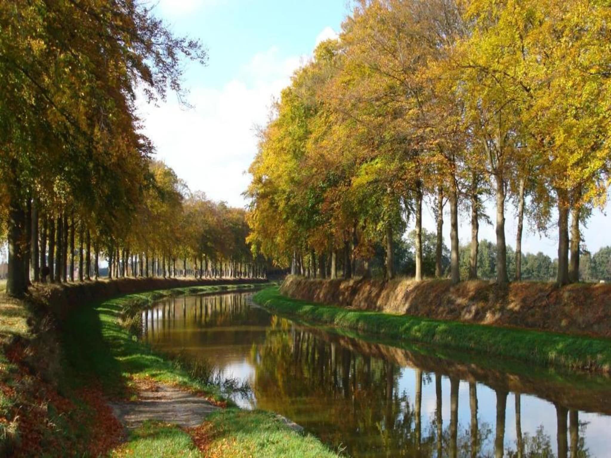 Bospark Markelo 3 in Markelo - Foto 21 van 40