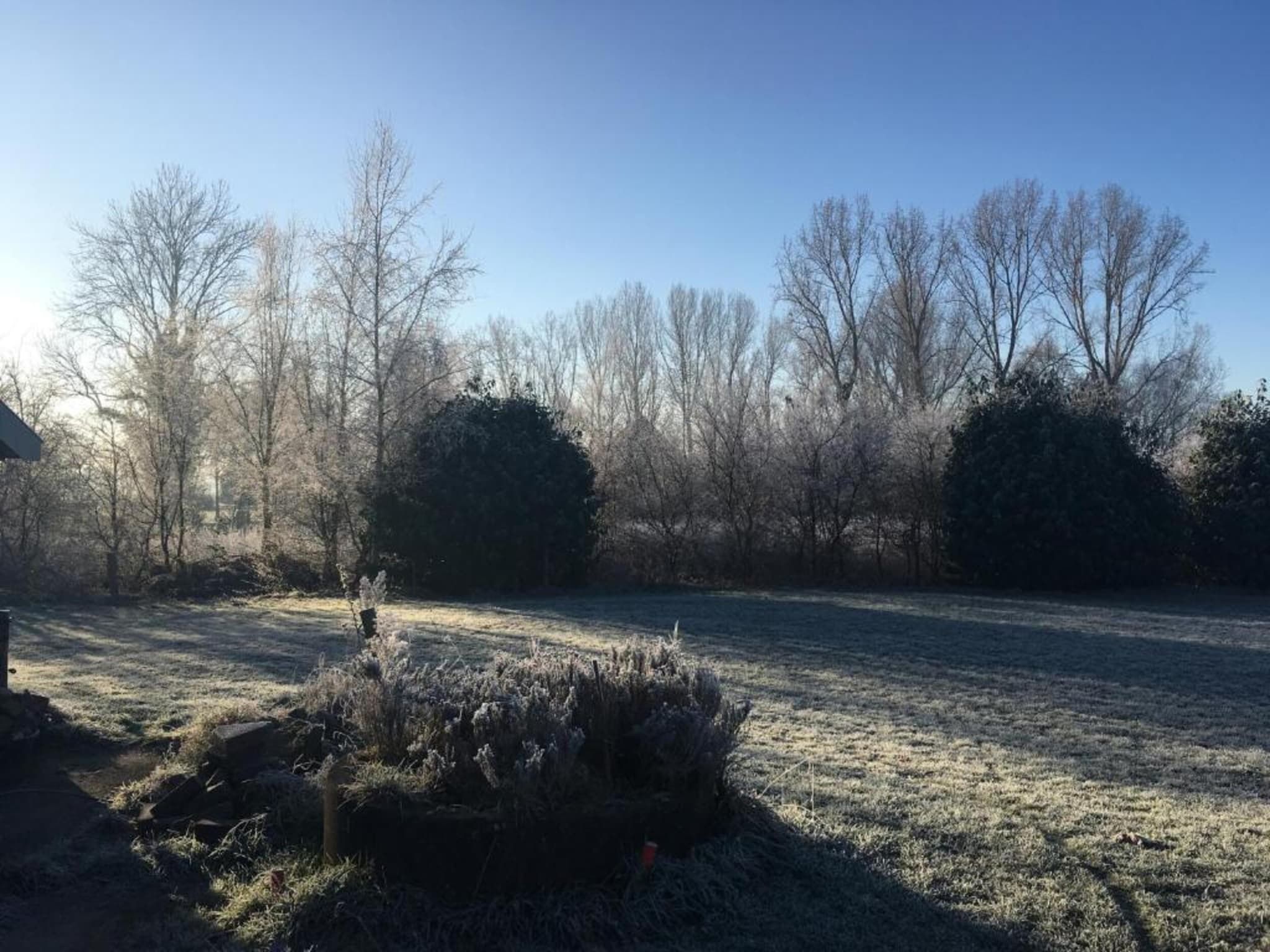 Bospark Markelo 3 in Markelo - Foto 24 van 40