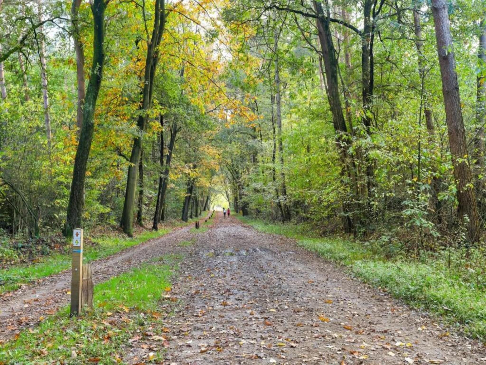 Bospark Markelo 3 in Markelo - Foto 26 van 40