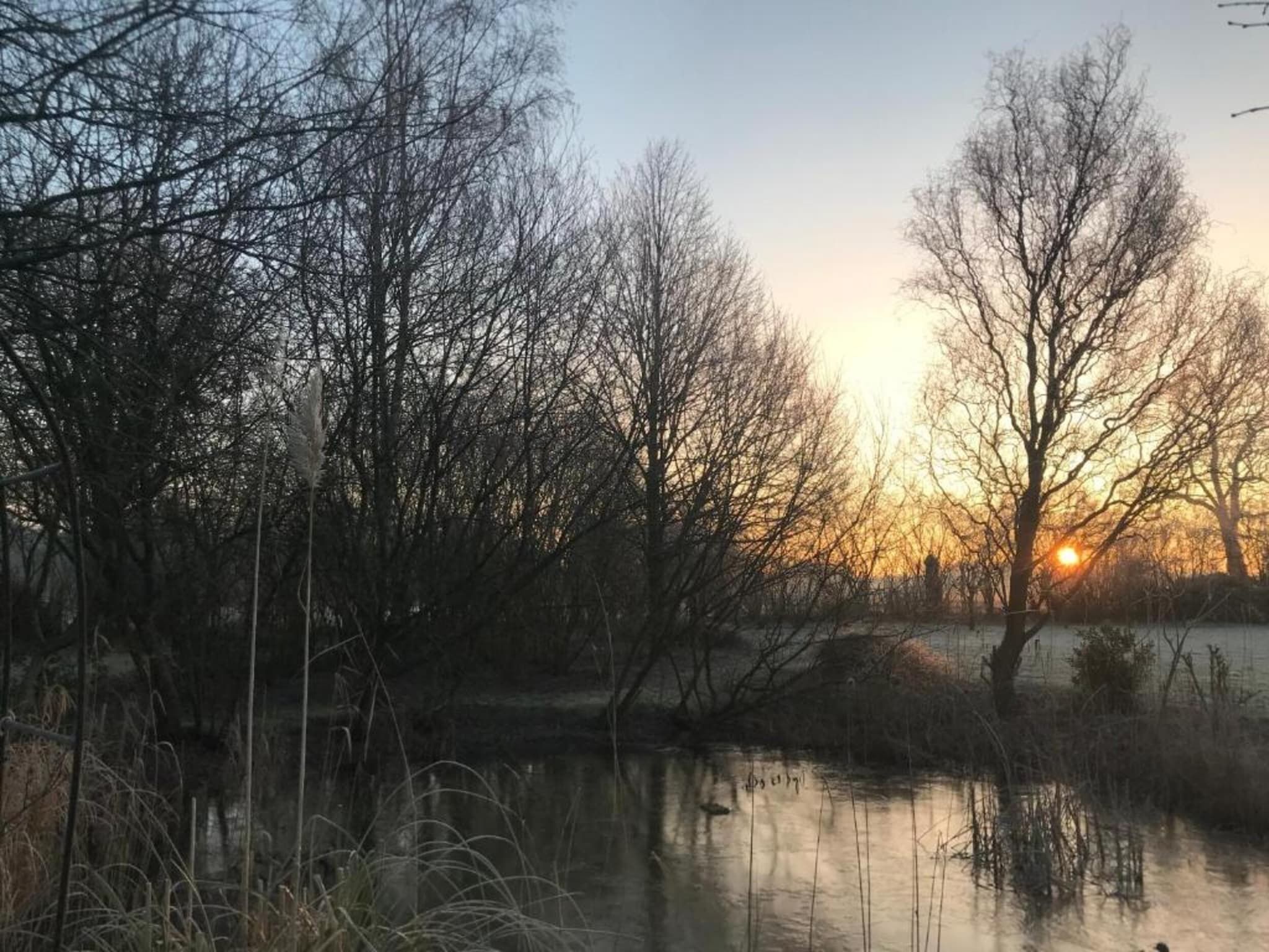 Bospark Markelo 3 in Markelo - Foto 30 van 40