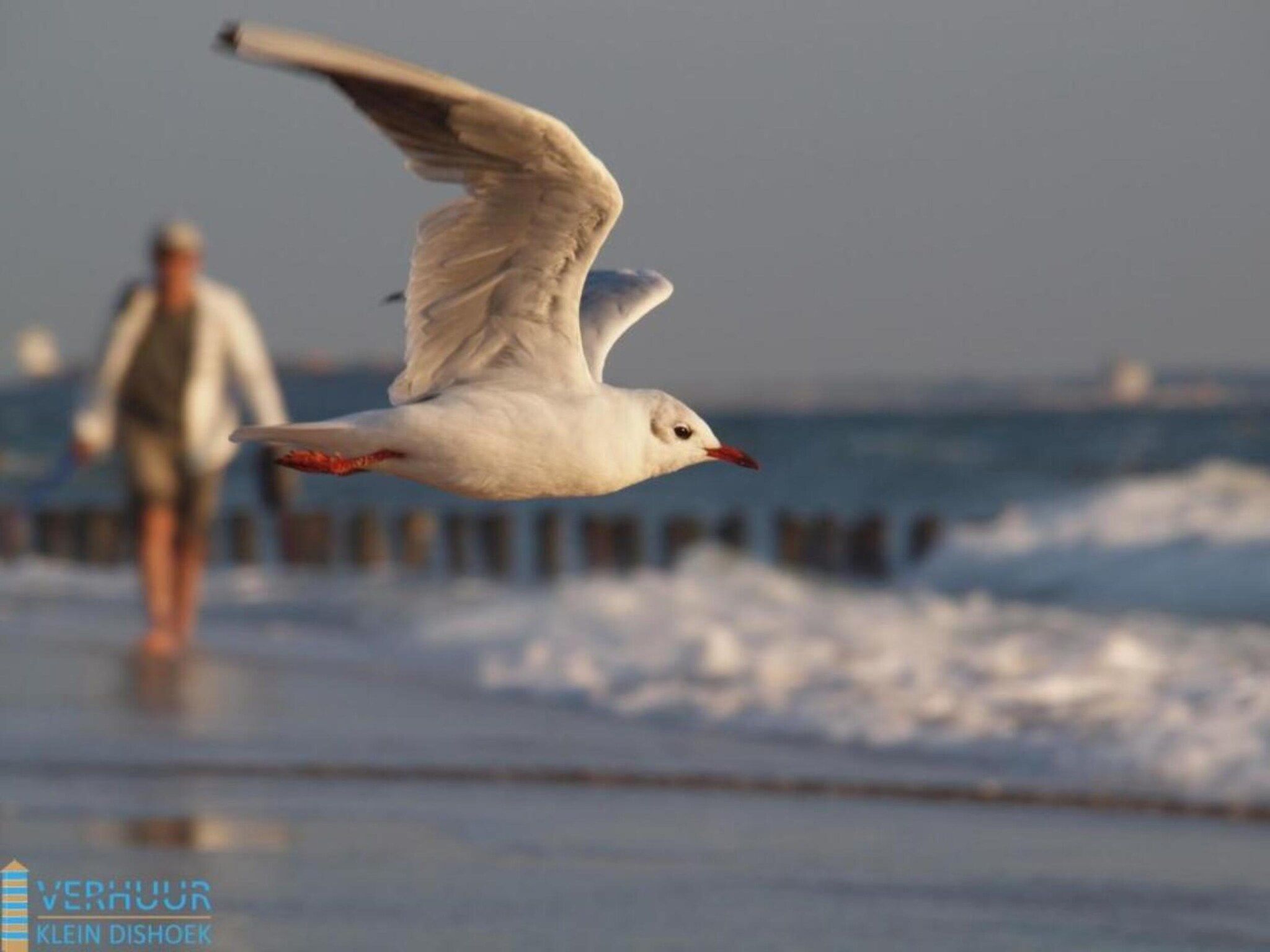 Sfeerbeeld van Noordzee Résidence Dishoek 12 in Koudekerke