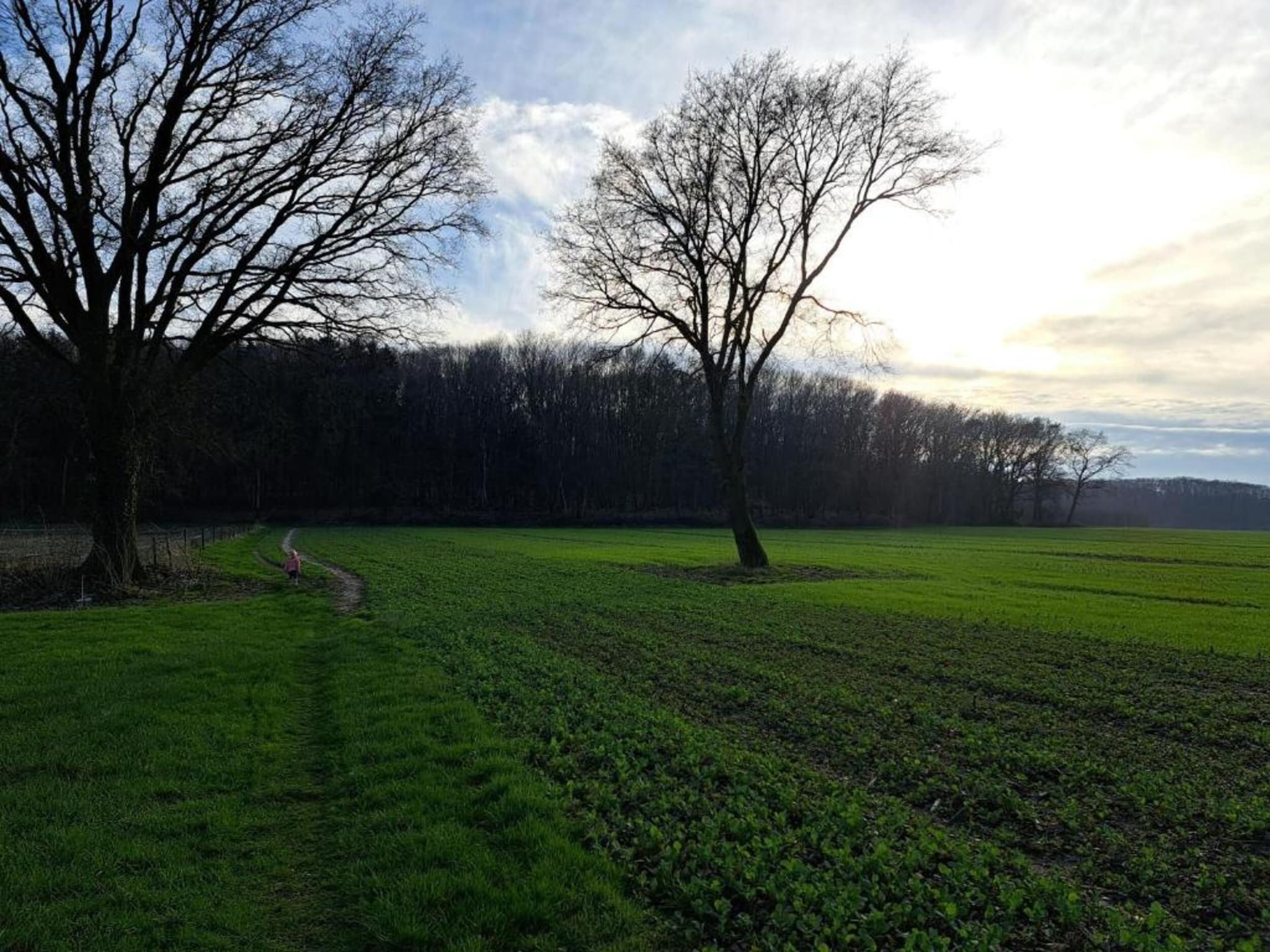 Villapark Ehzerburg 2 in Almen - Foto 27 van 27