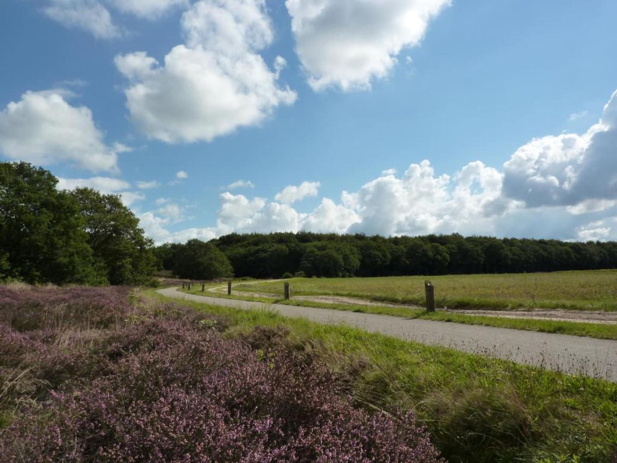 Vakantiepark Hunzedal 10 in Borger - Foto 8 van 40