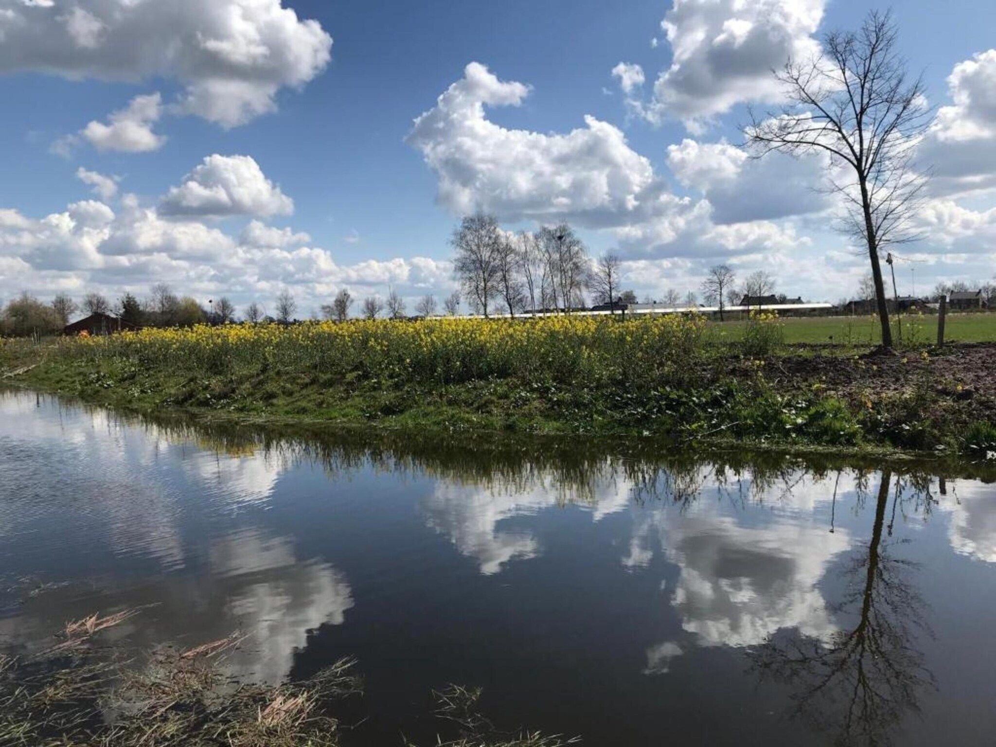De omgeving van Vakantiepark Schaijk 3 in Schaijk