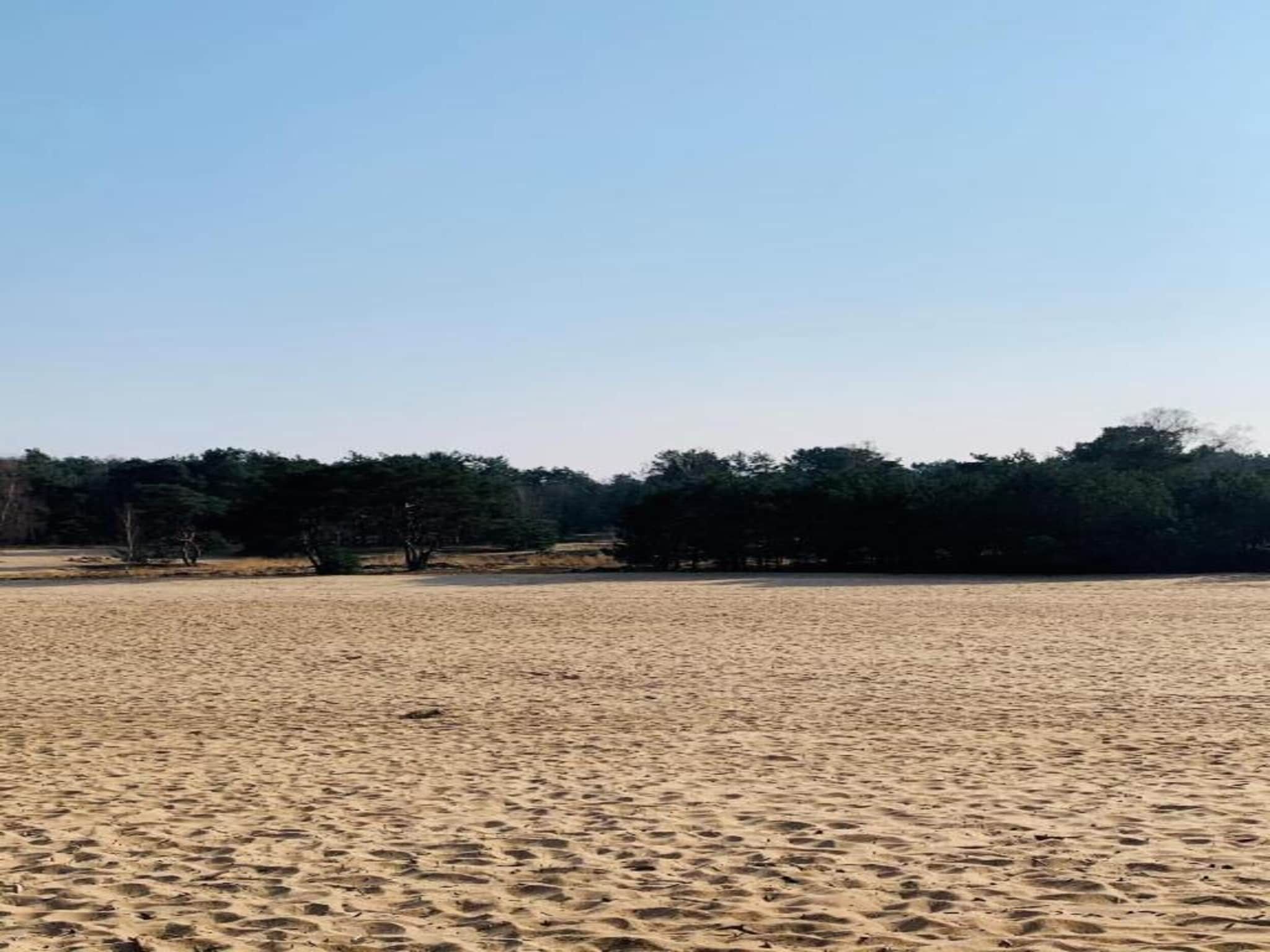 De omgeving van Vakantiepark Schaijk 4 in Schaijk