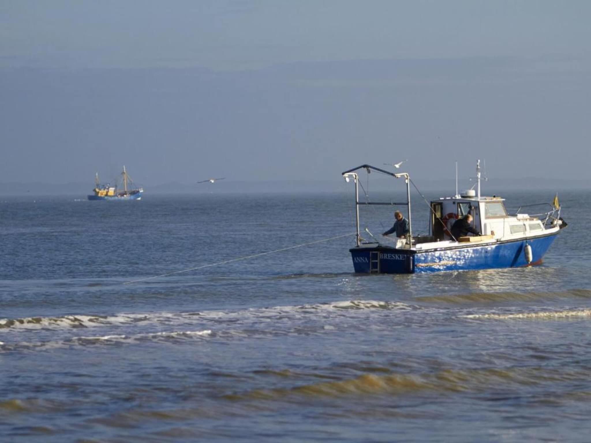 Beach Resort Nieuwvliet-Bad 7 in Nieuwvliet-Bad - Foto 32 van 40