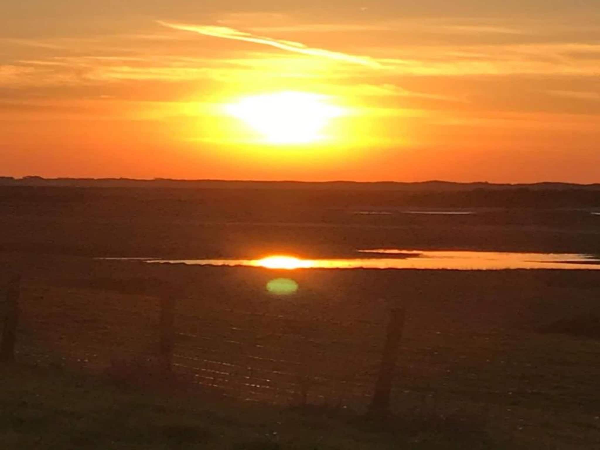 Beach Resort Nieuwvliet-Bad 7 in Nieuwvliet-Bad - Foto 21 van 40