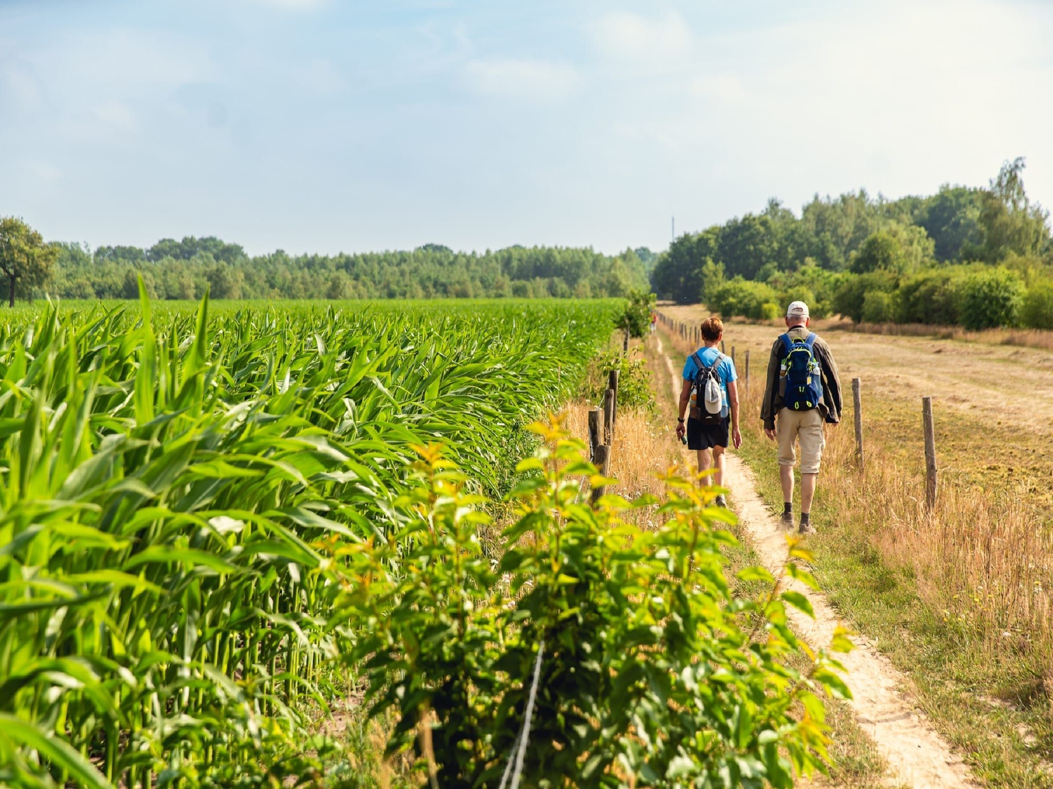 De omgeving van Vakantiepark Mölke 19 in Zuna