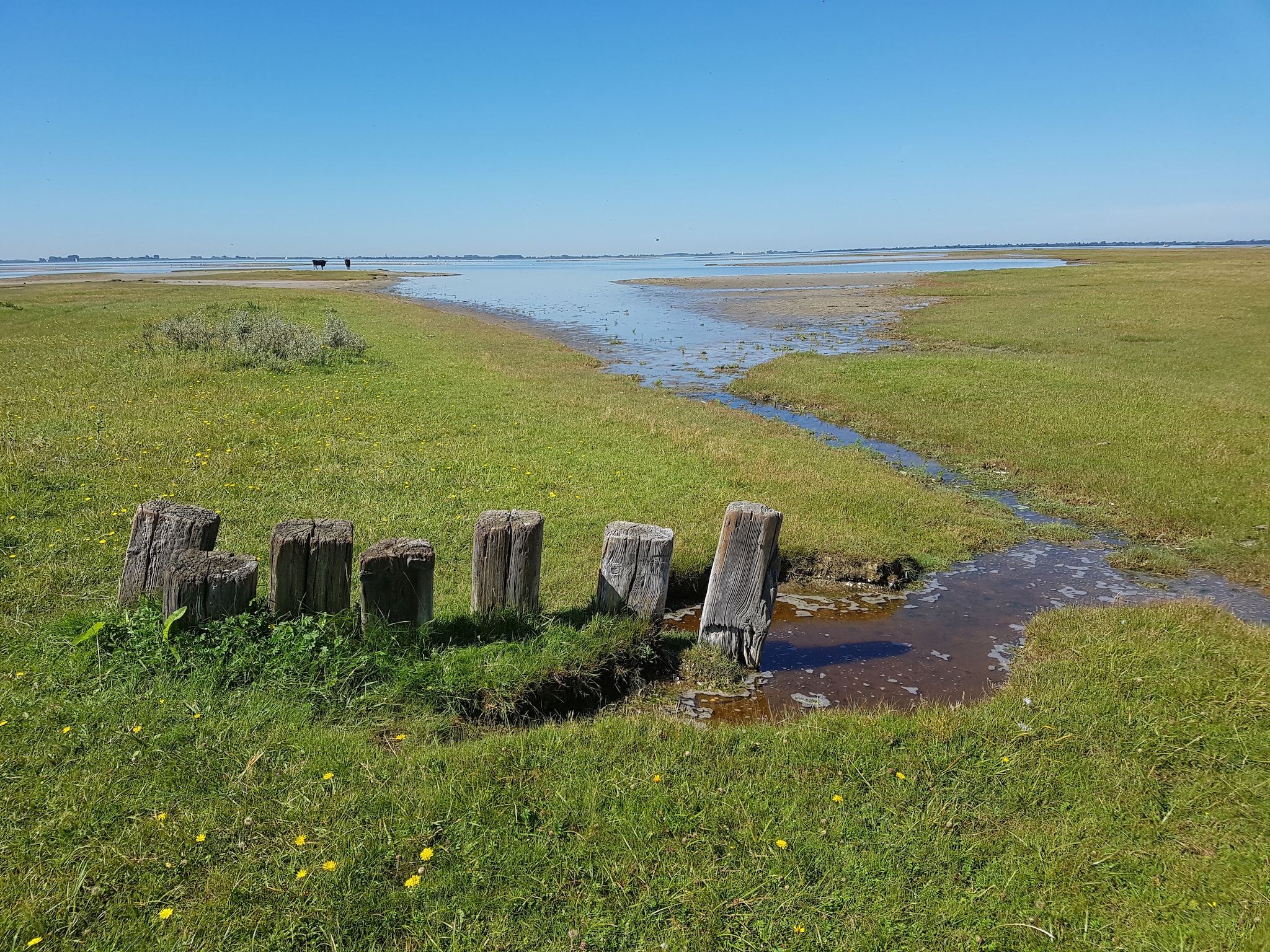 Vakantiepark Zeedijk 2 in Herkingen - Foto 23 van 36