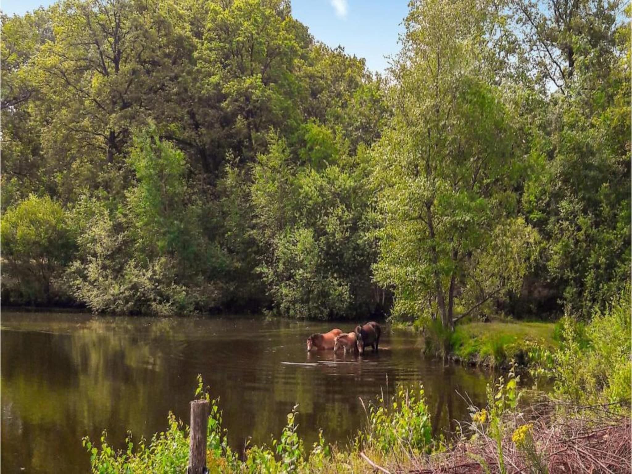 Vakantiepark Weerterbergen 8 in Weert - Foto 32 van 40