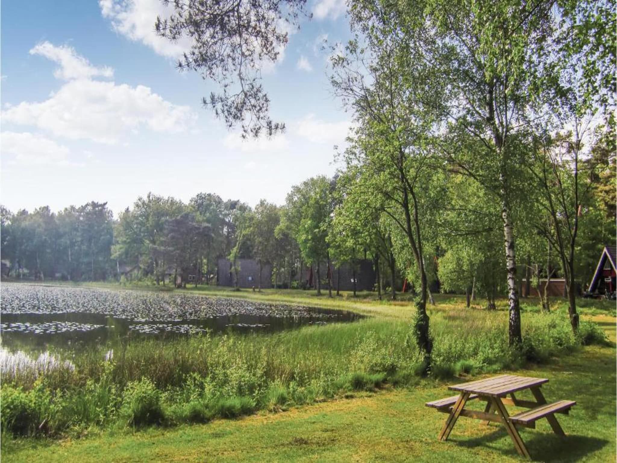 Vakantiepark Weerterbergen 11 in Weert - Foto 32 van 40