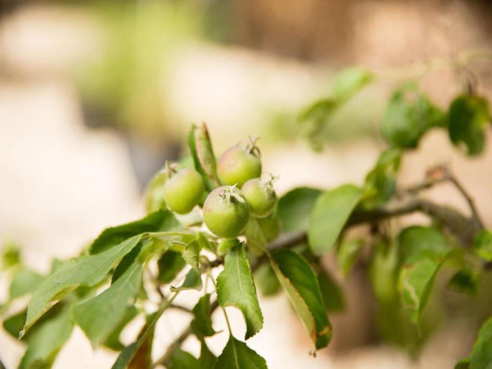 Sfeerbeeld van Vakantiepark Weerterbergen 12 in Weert