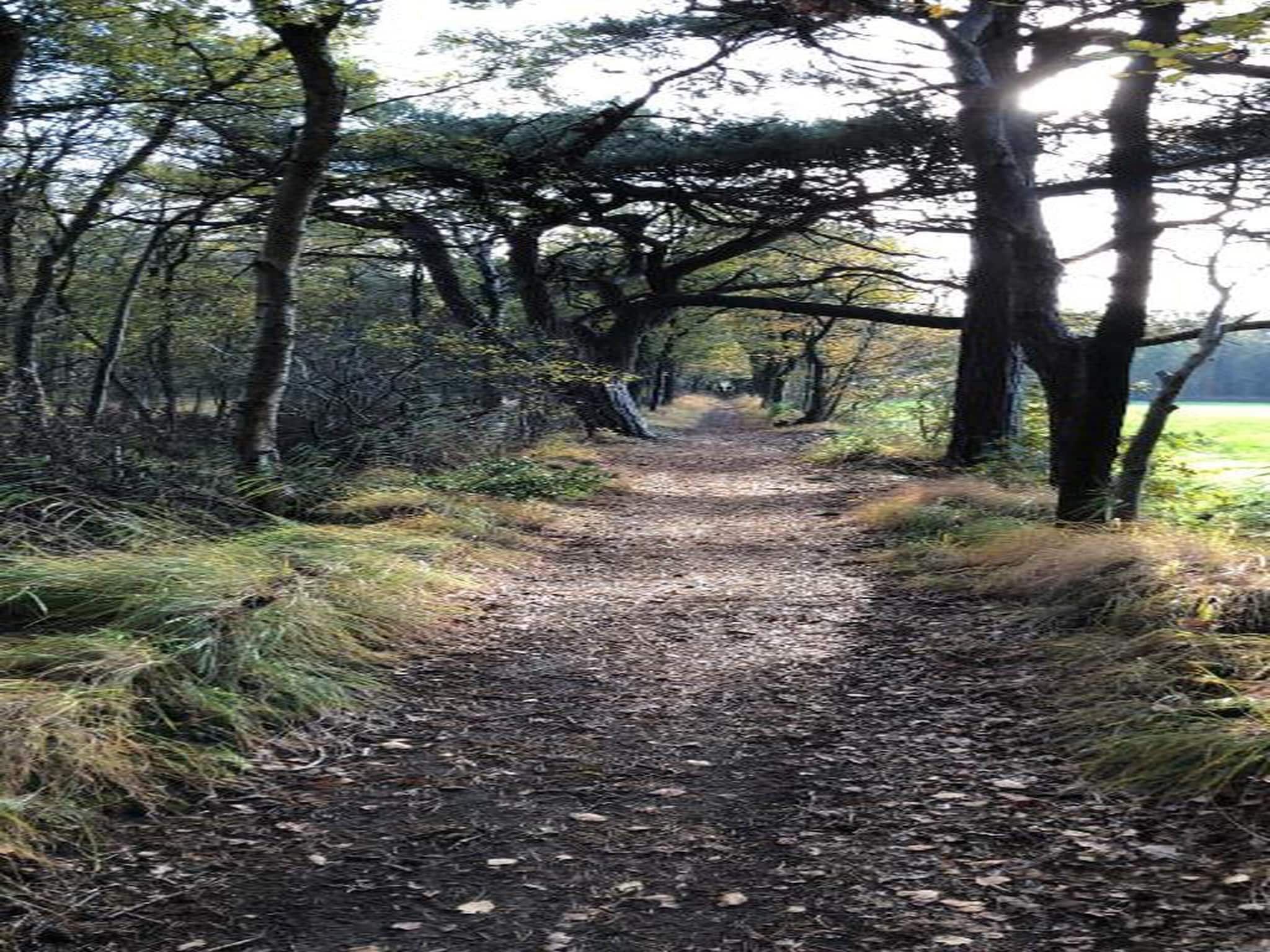 Waterpark Terkaple 1 in Terkaple - Foto 24 van 45