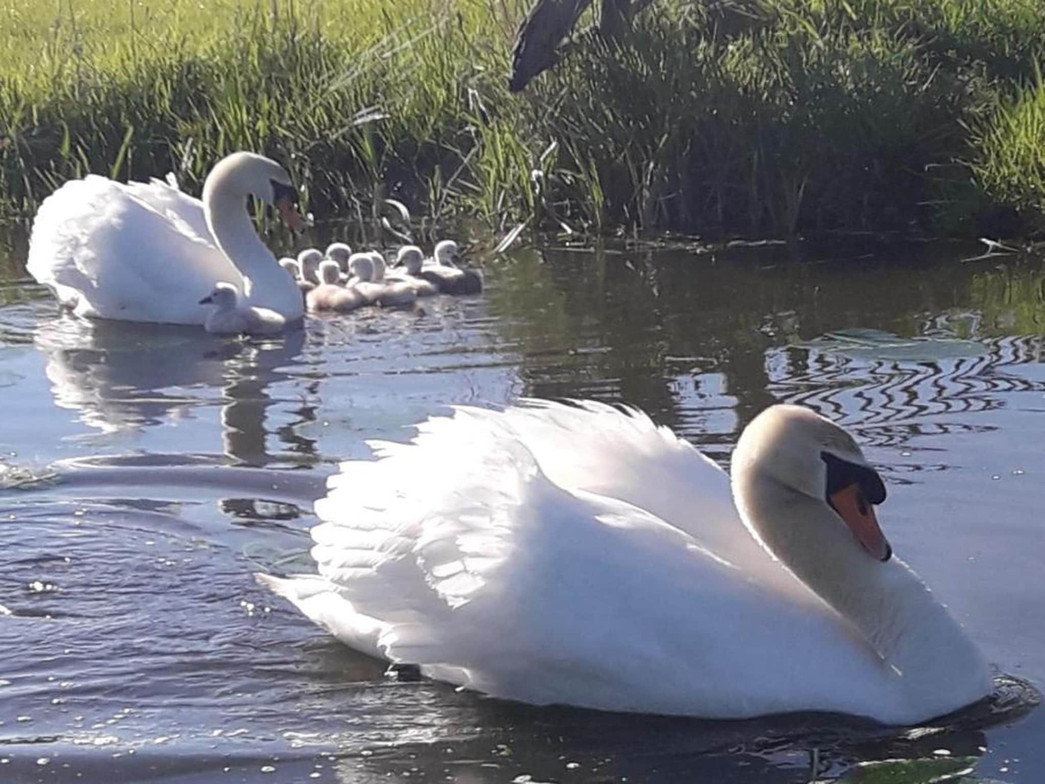 Waterpark Terkaple 1 in Terkaple - Foto 32 van 45