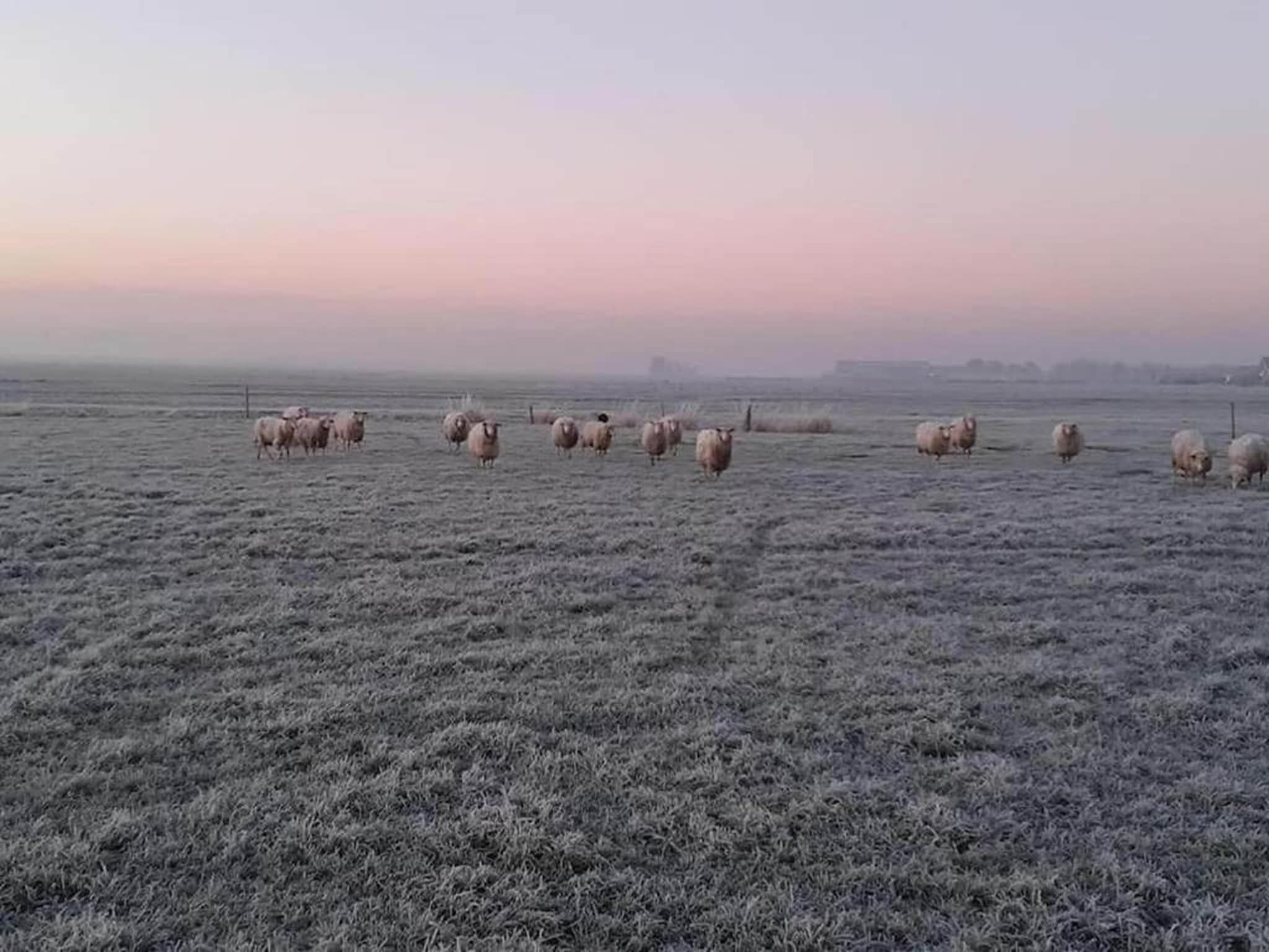 Waterpark Terkaple 1 in Terkaple - Foto 38 van 45