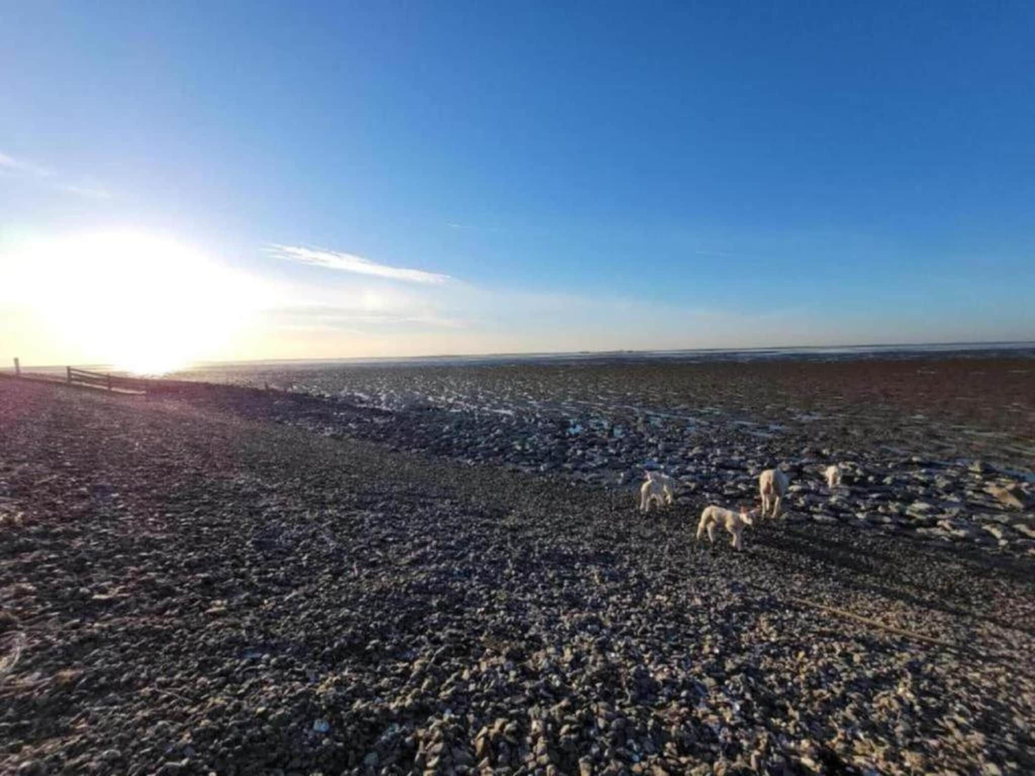 Waterpark Terkaple 1 in Terkaple - Foto 21 van 45