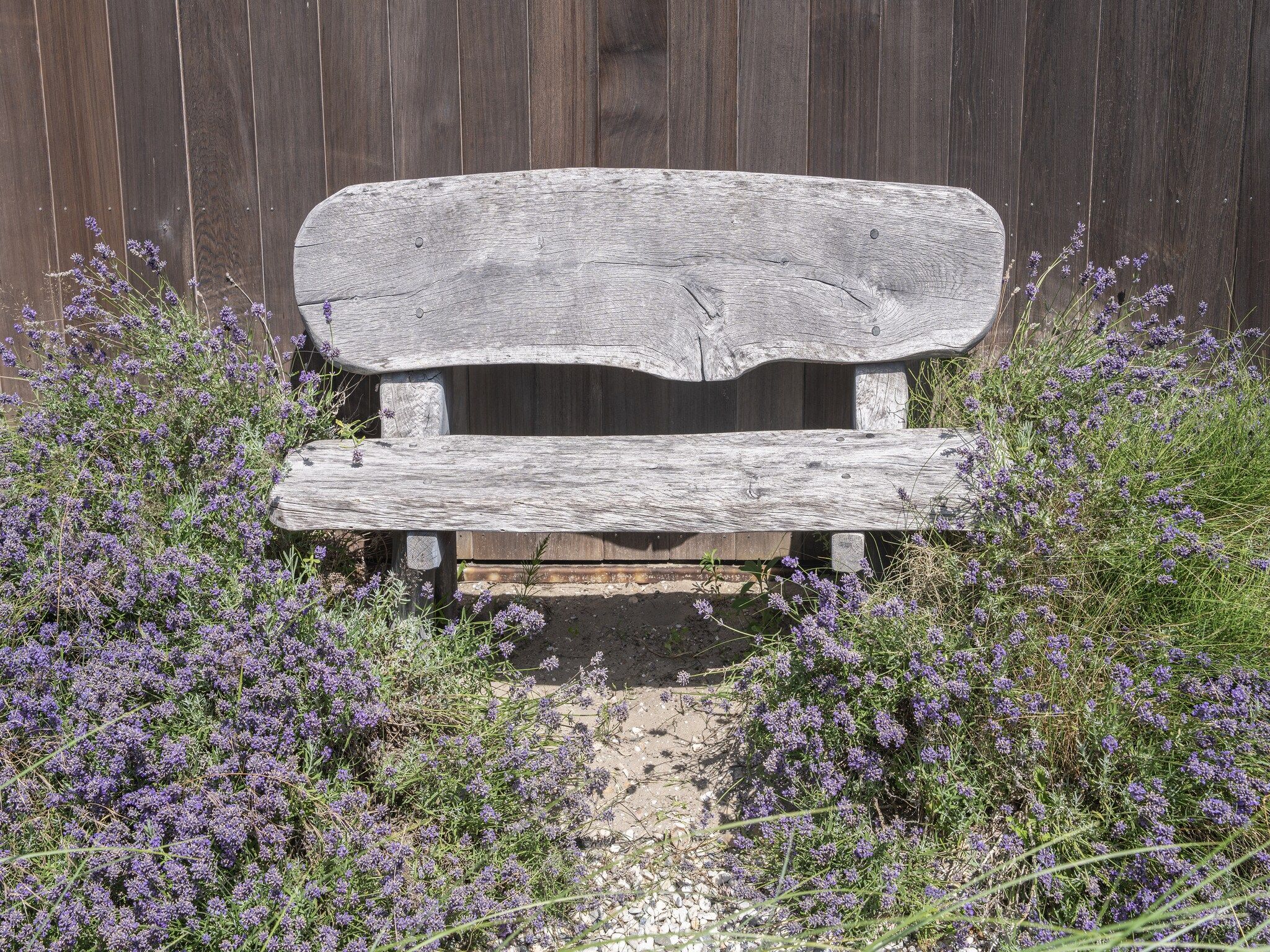 Sfeerbeeld van Duinvilla aan het Meer in Egmond aan den Hoef