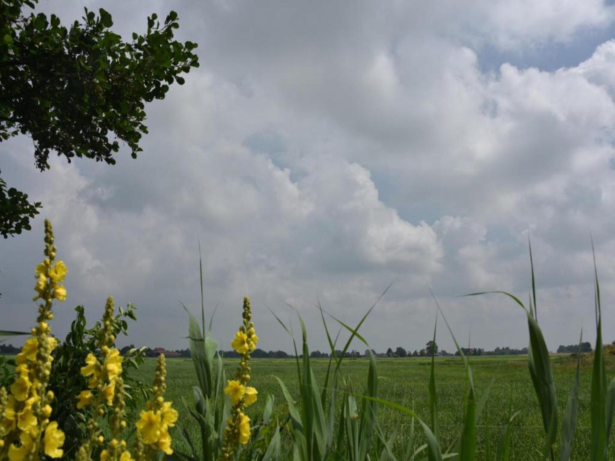 Friese Meren Villa's 5 in Delfstrahuizen - Foto 30 van 32