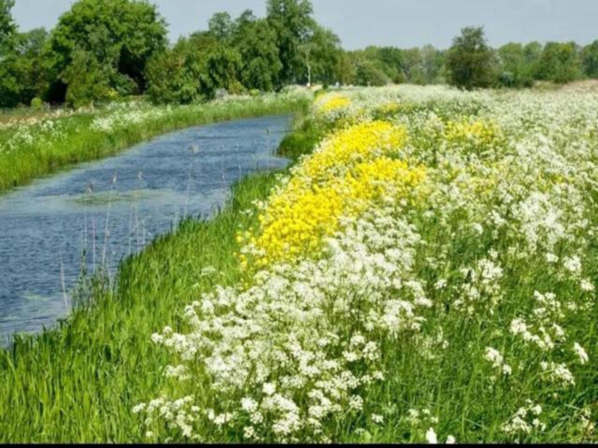 Friese Meren Villa's 5 in Delfstrahuizen - Foto 24 van 32