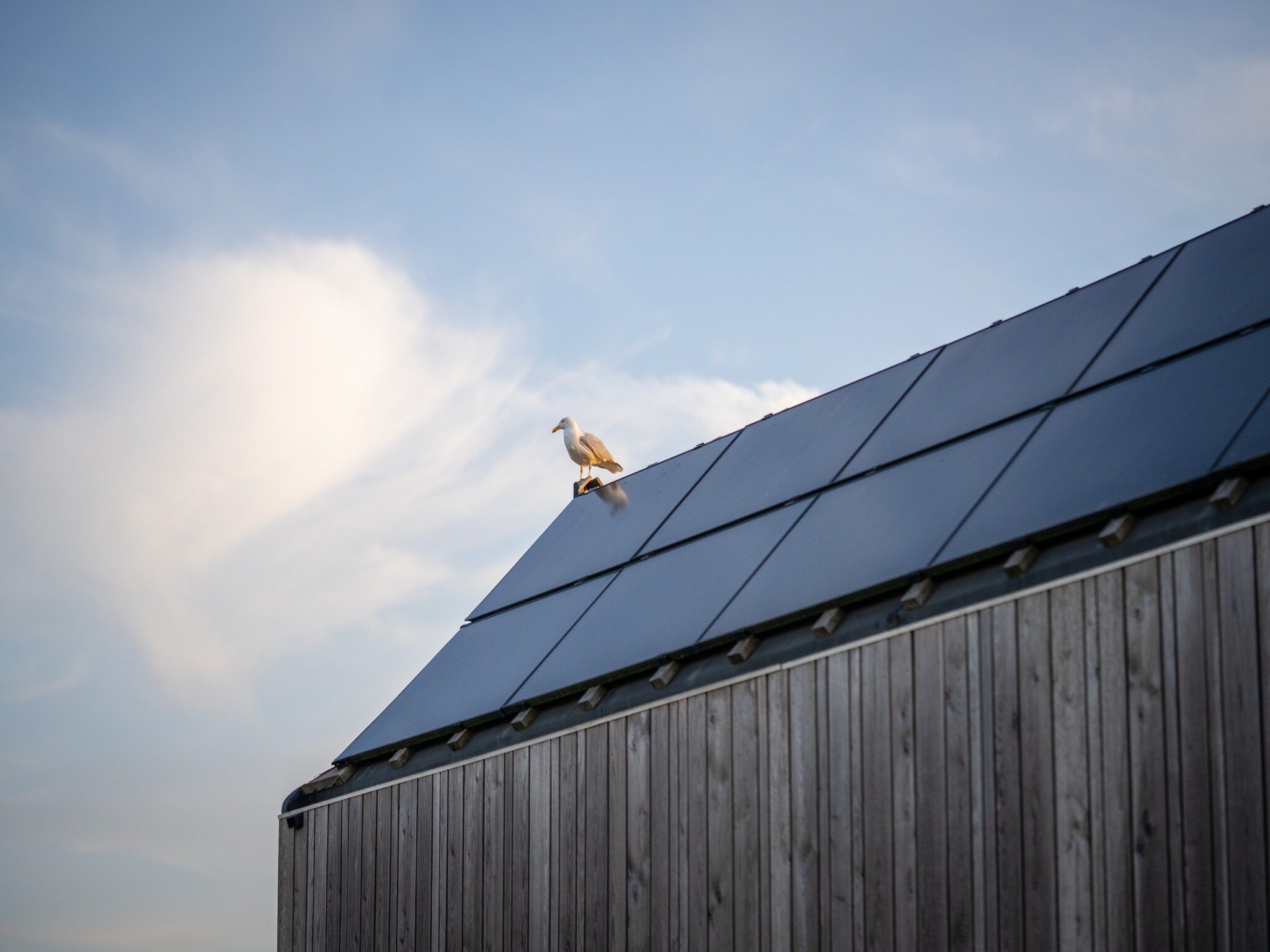 Sfeerbeeld van Eco Resort Grevelingenstrand in Ouddorp