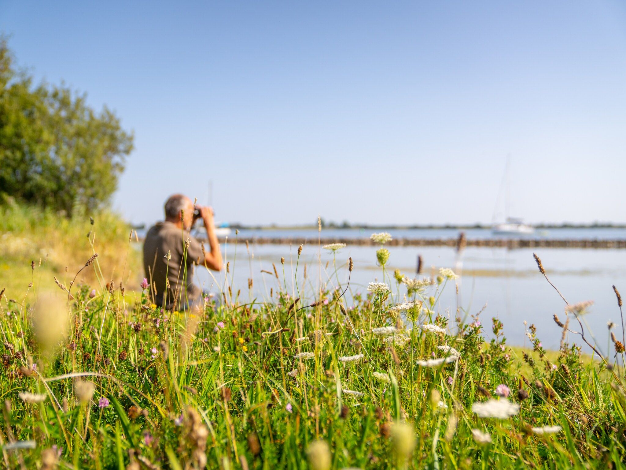 Eco Resort Grevelingenstrand in Ouddorp - Foto 24 van 34